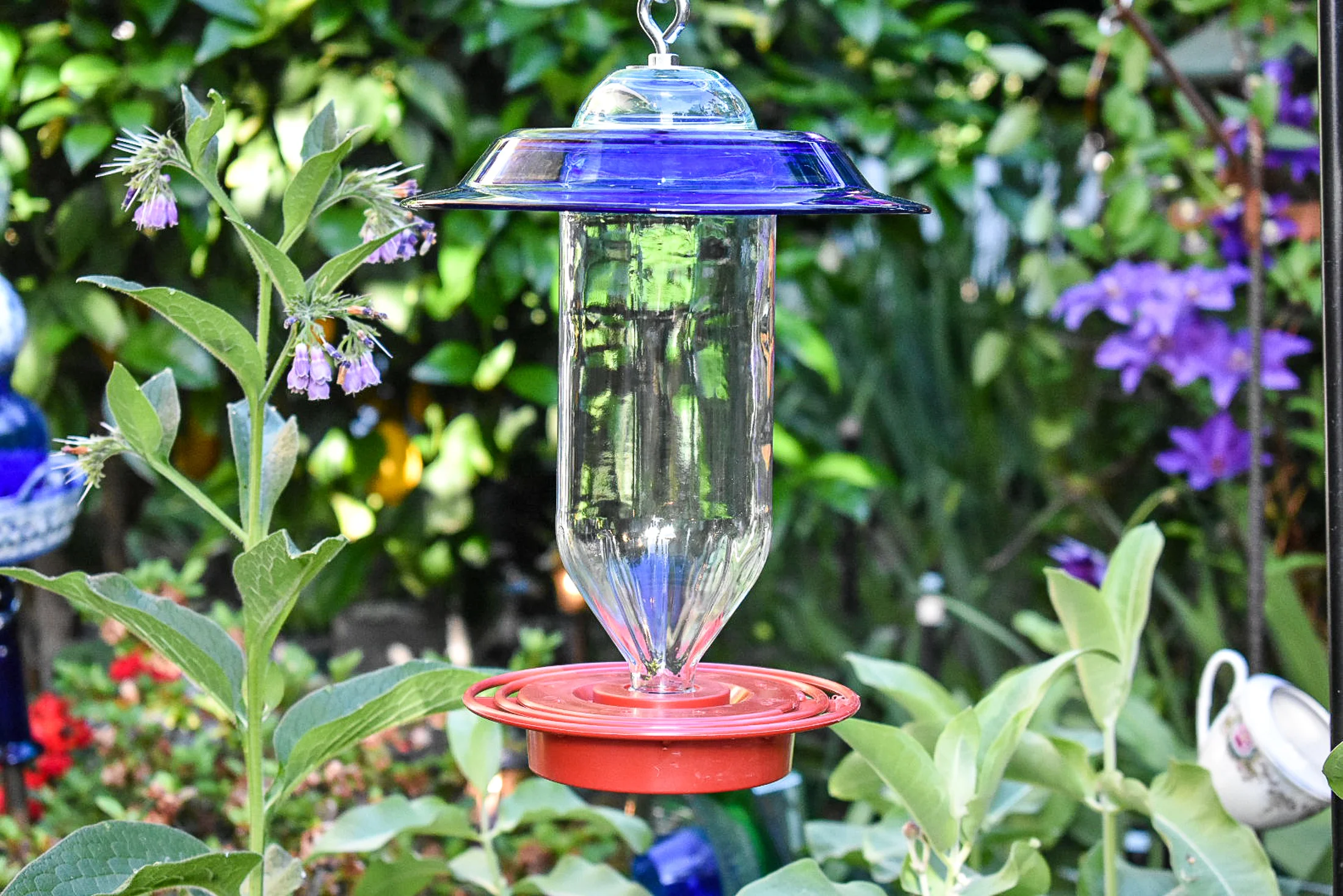 Hummingbird313e.jpg