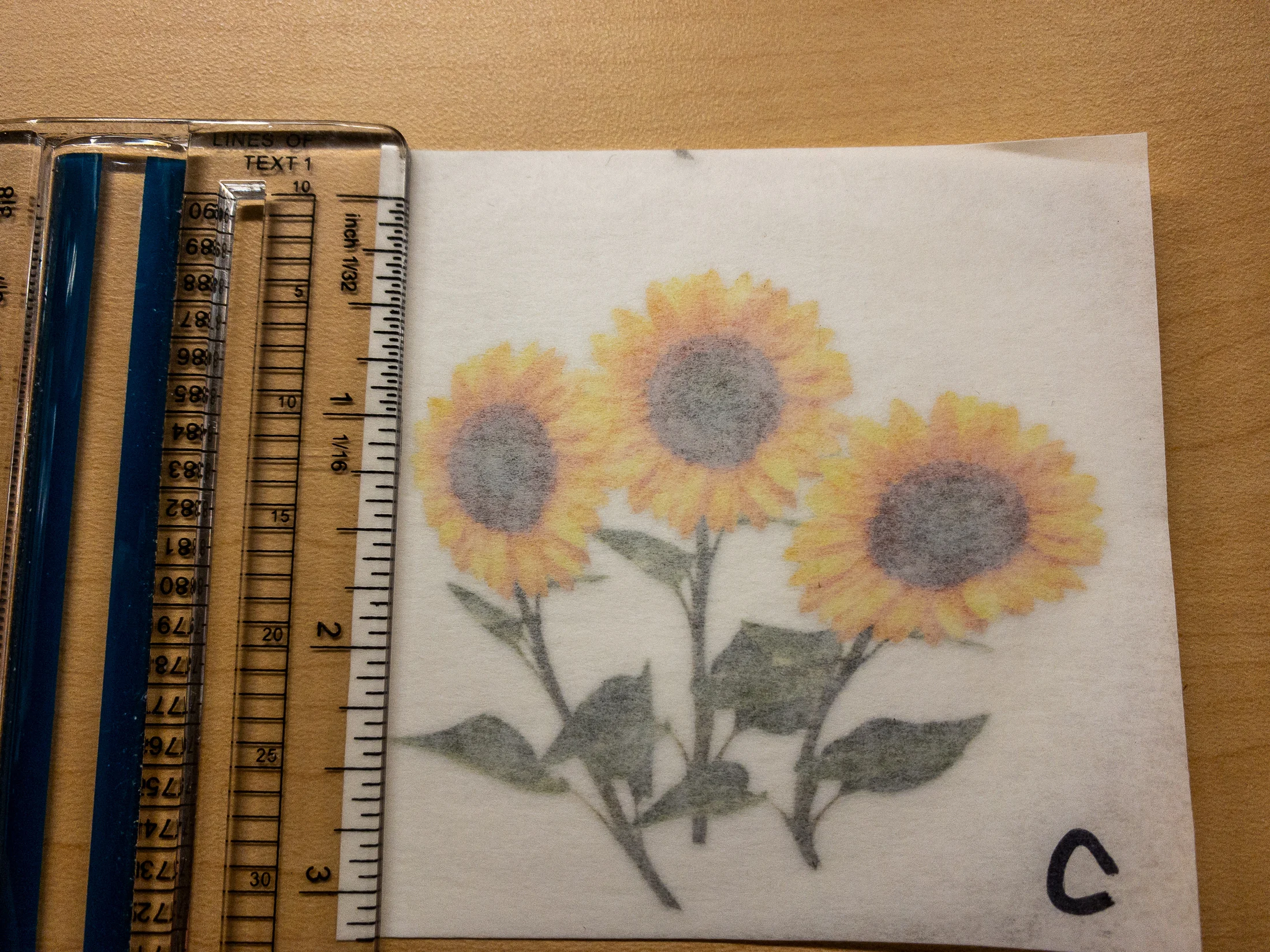SunflowerDecalg.jpg