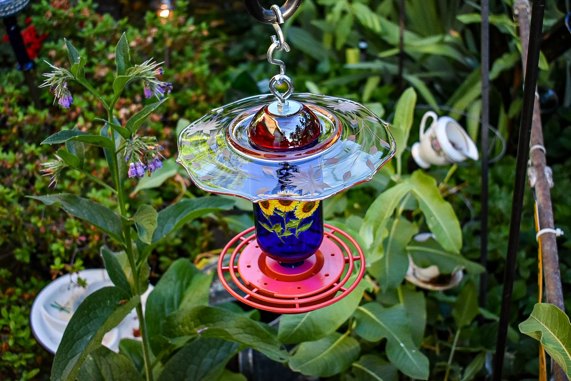DSC_0004.jpg
