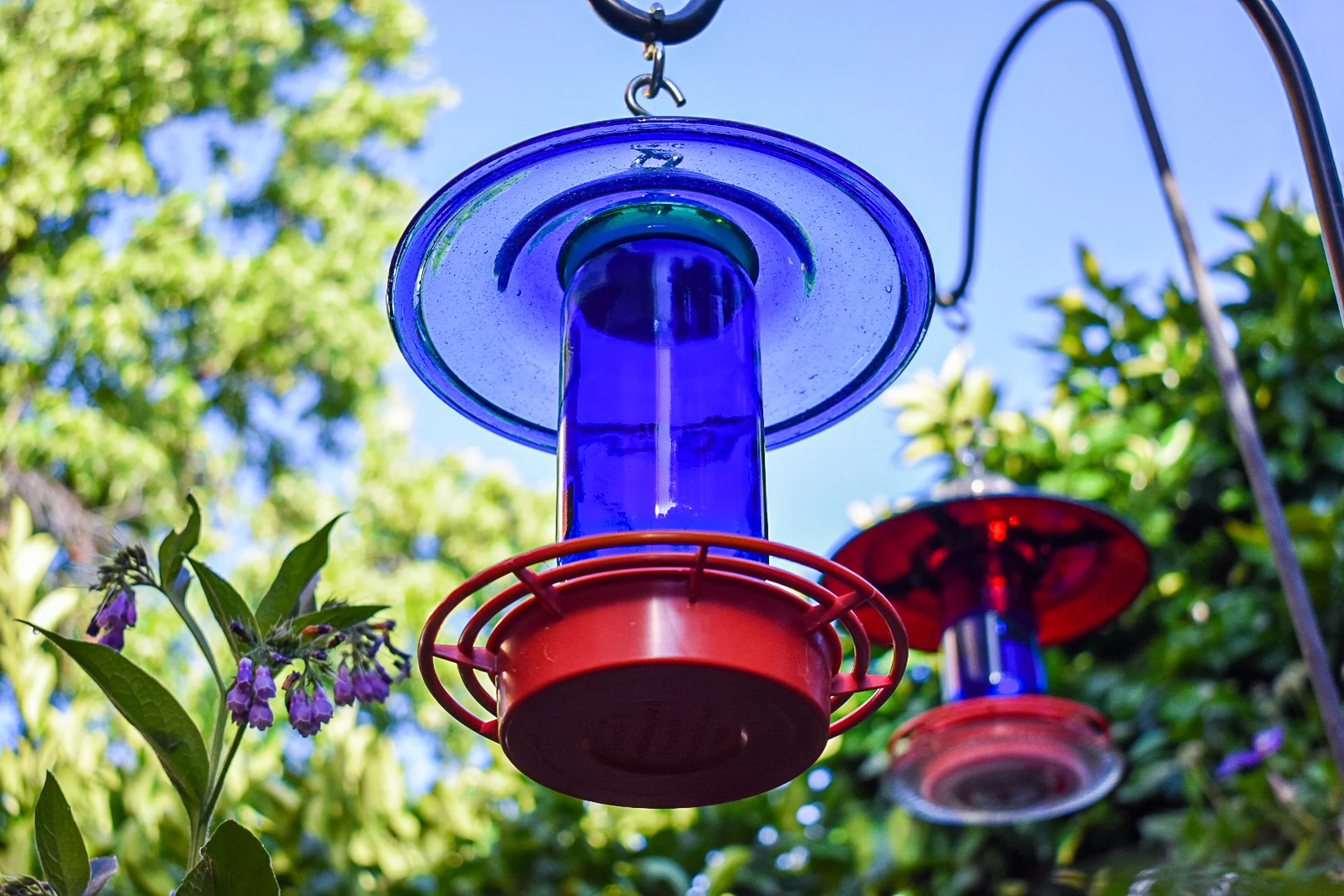 Hummingbird316e.jpg