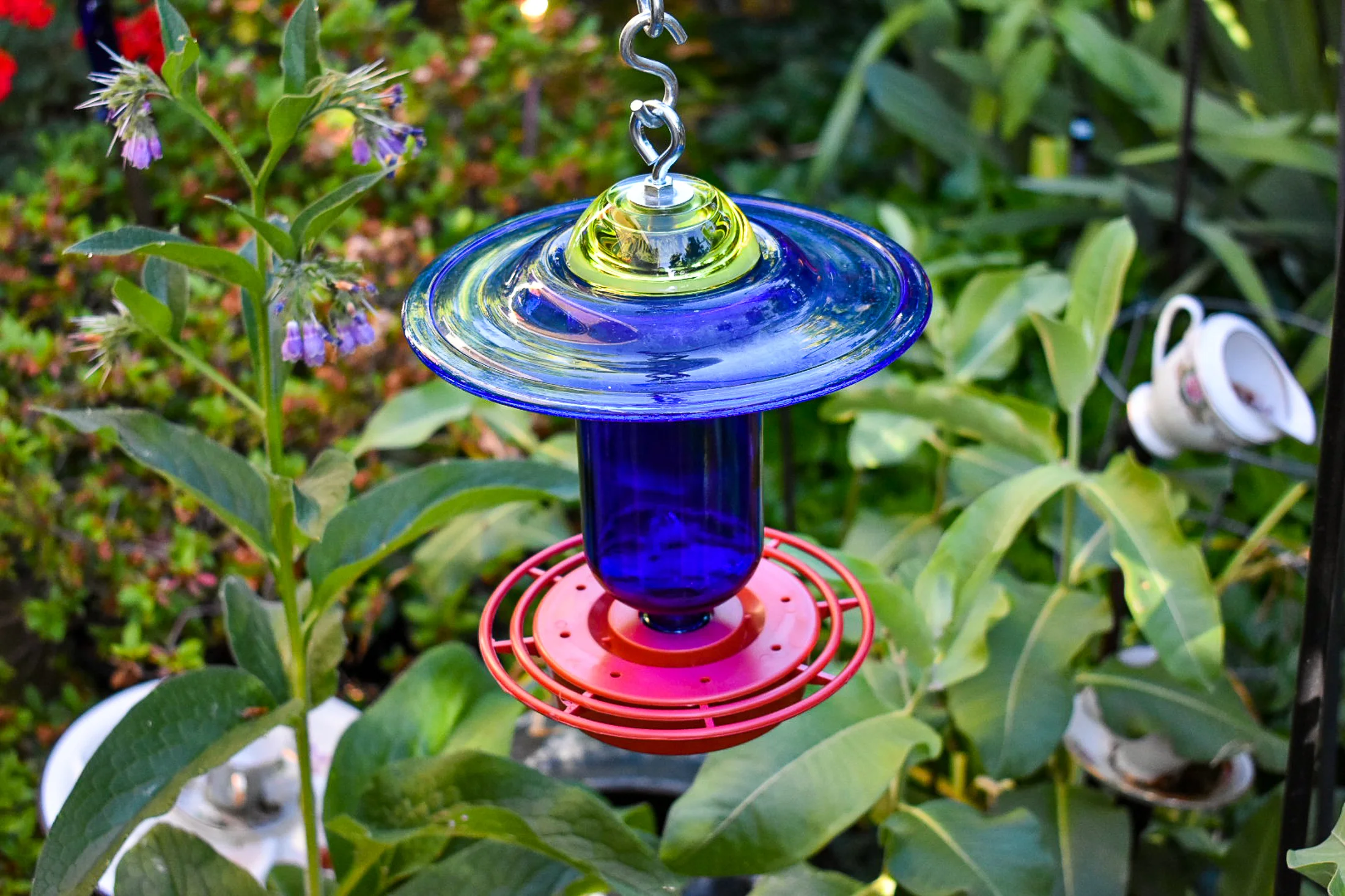Hummingbird316c.jpg