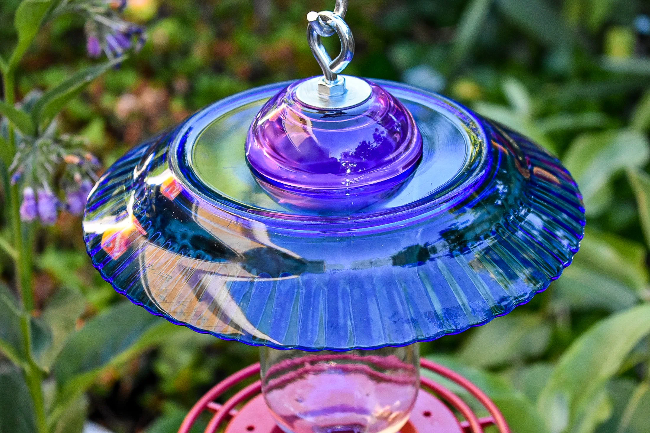 Hummingbird319e.jpg
