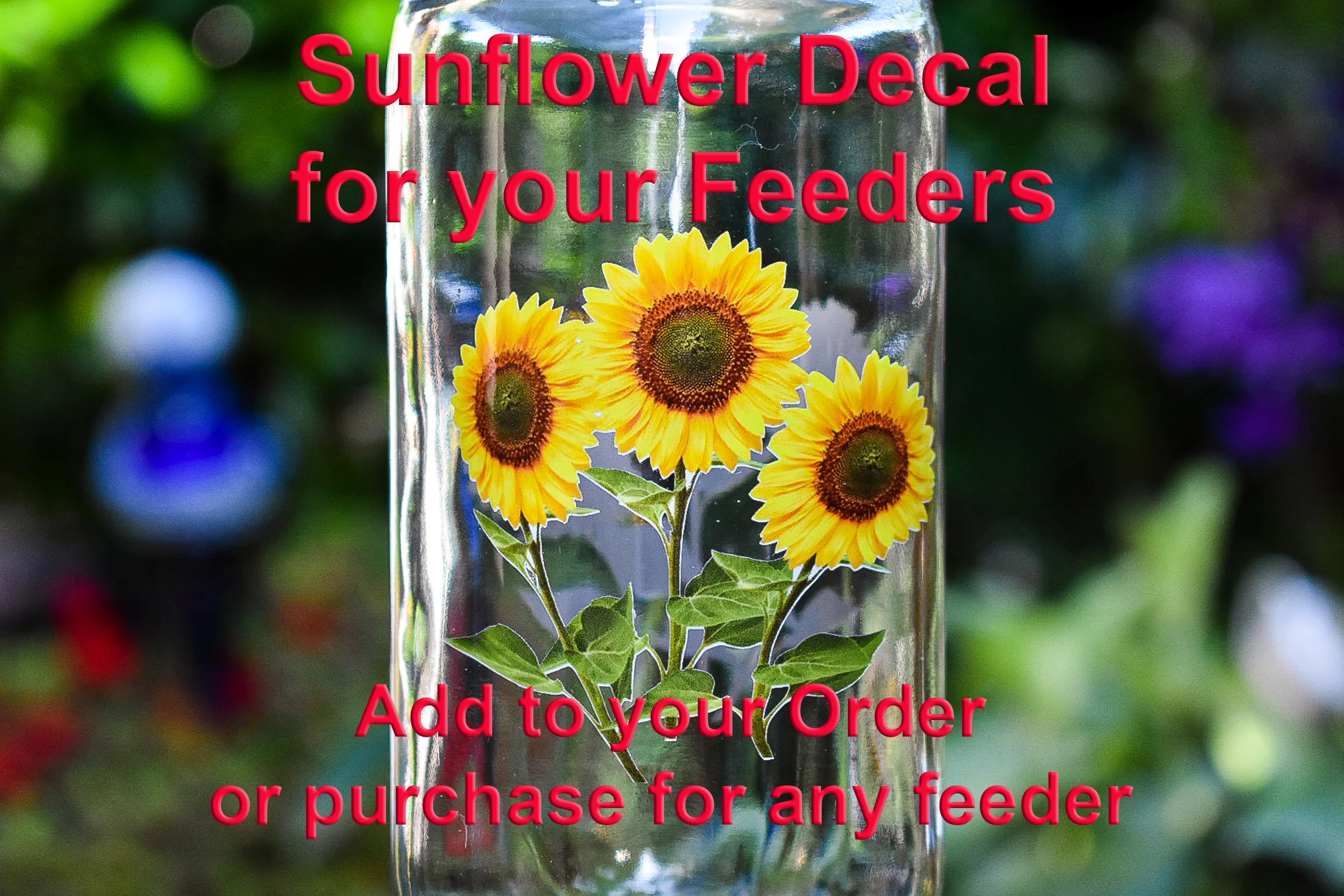 ClearSunflowerDecalb.jpg