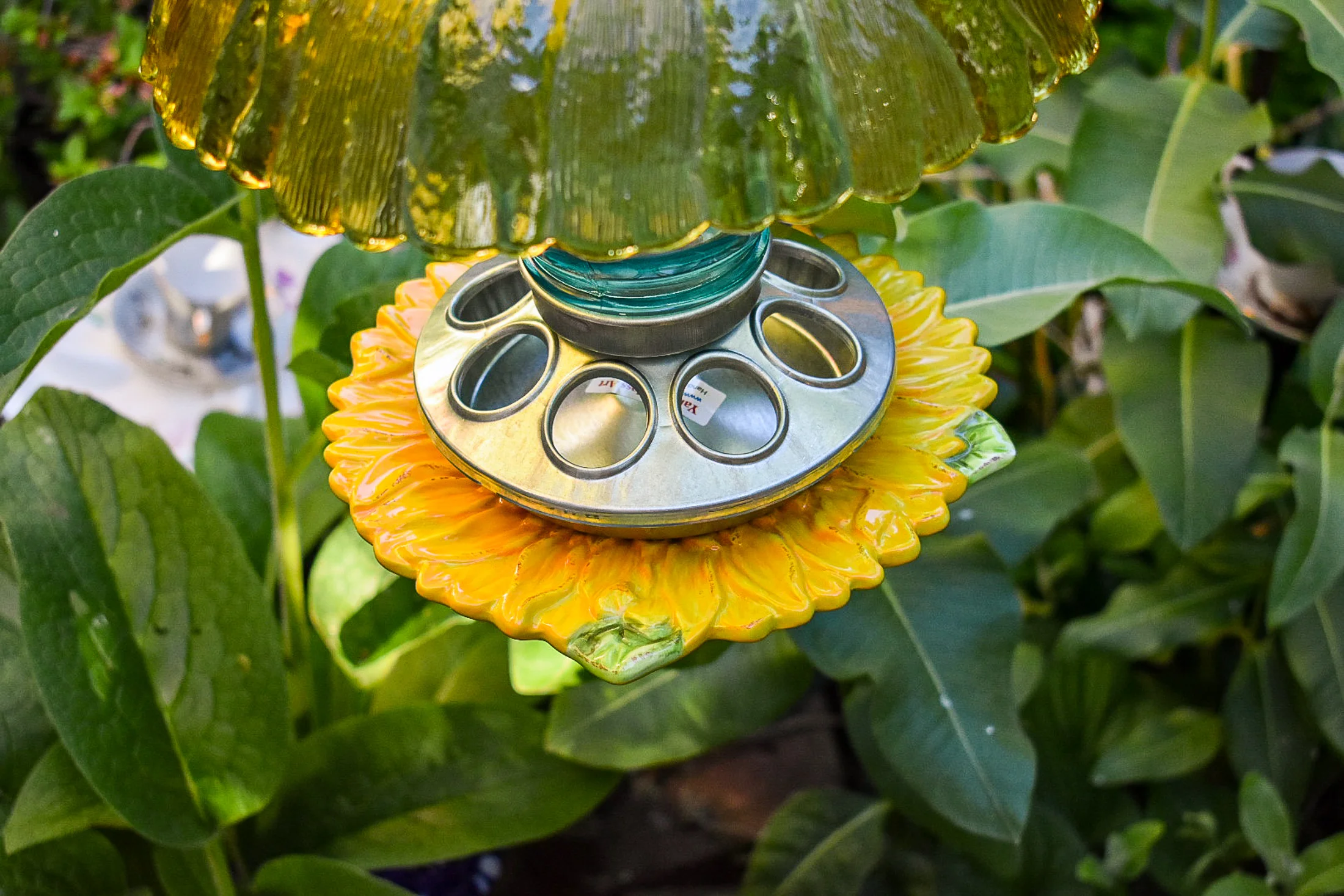 Birdfeeder526f.jpg
