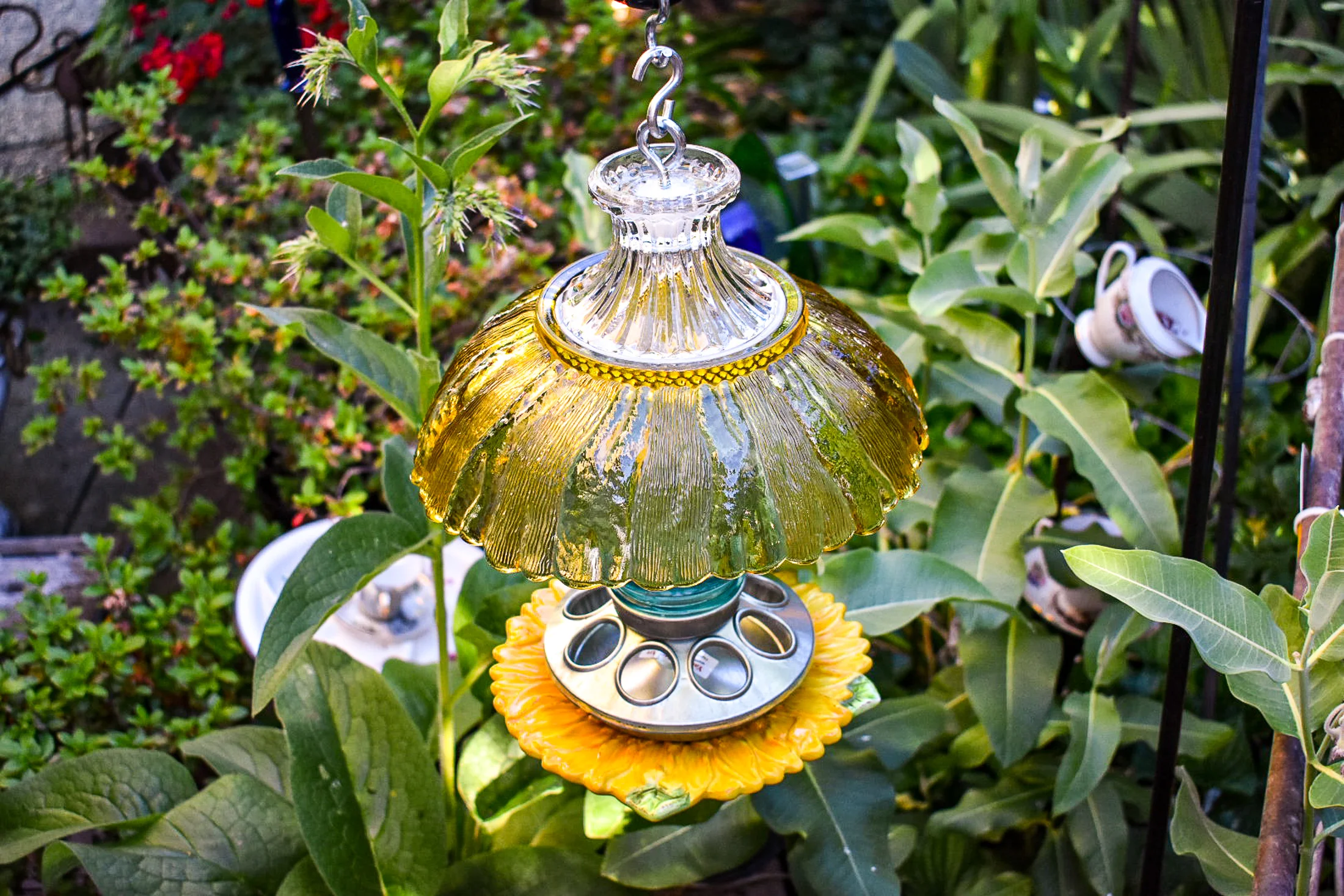 Birdfeeder526d.jpg