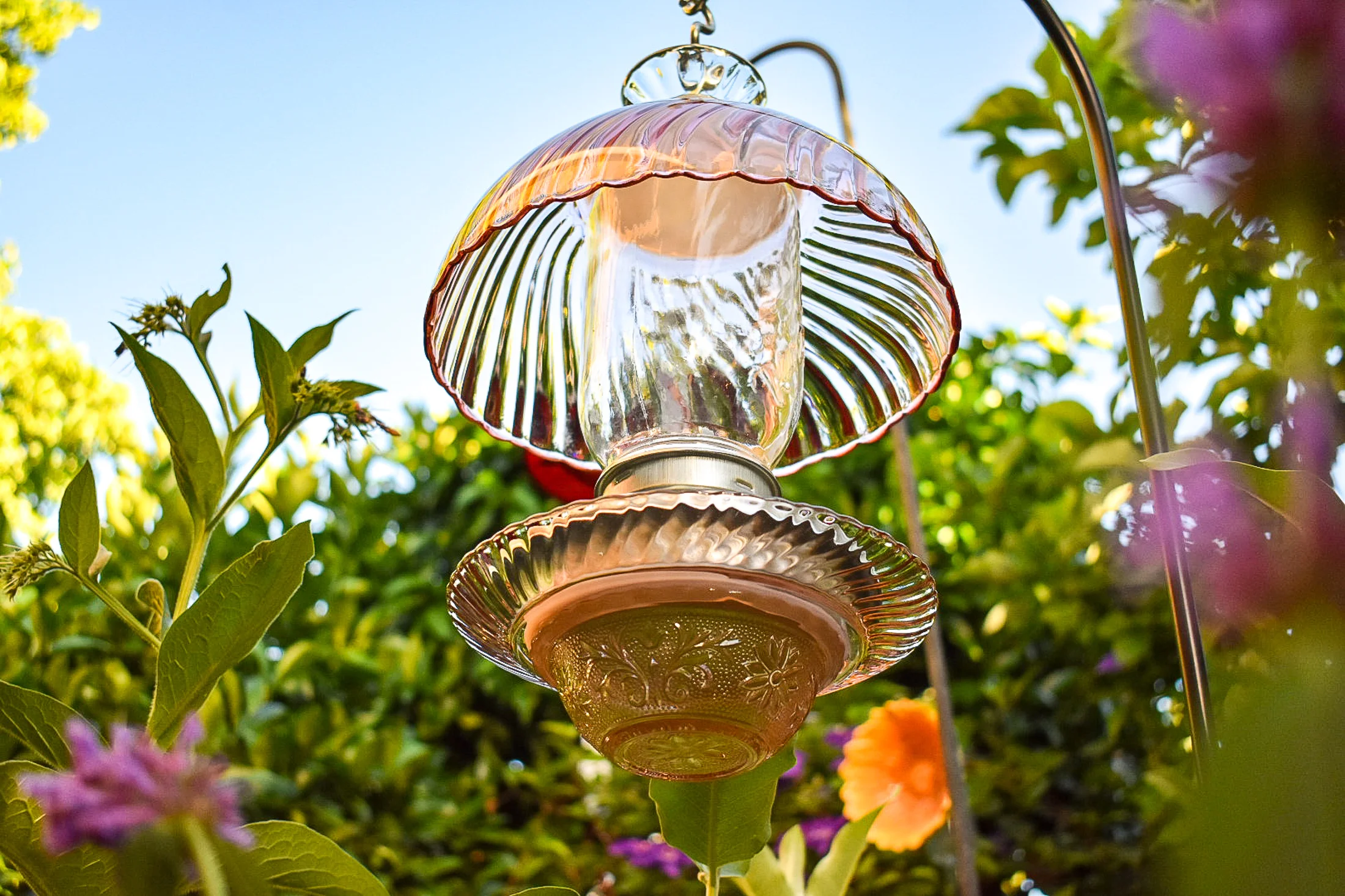 Birdfeeder529h.jpg