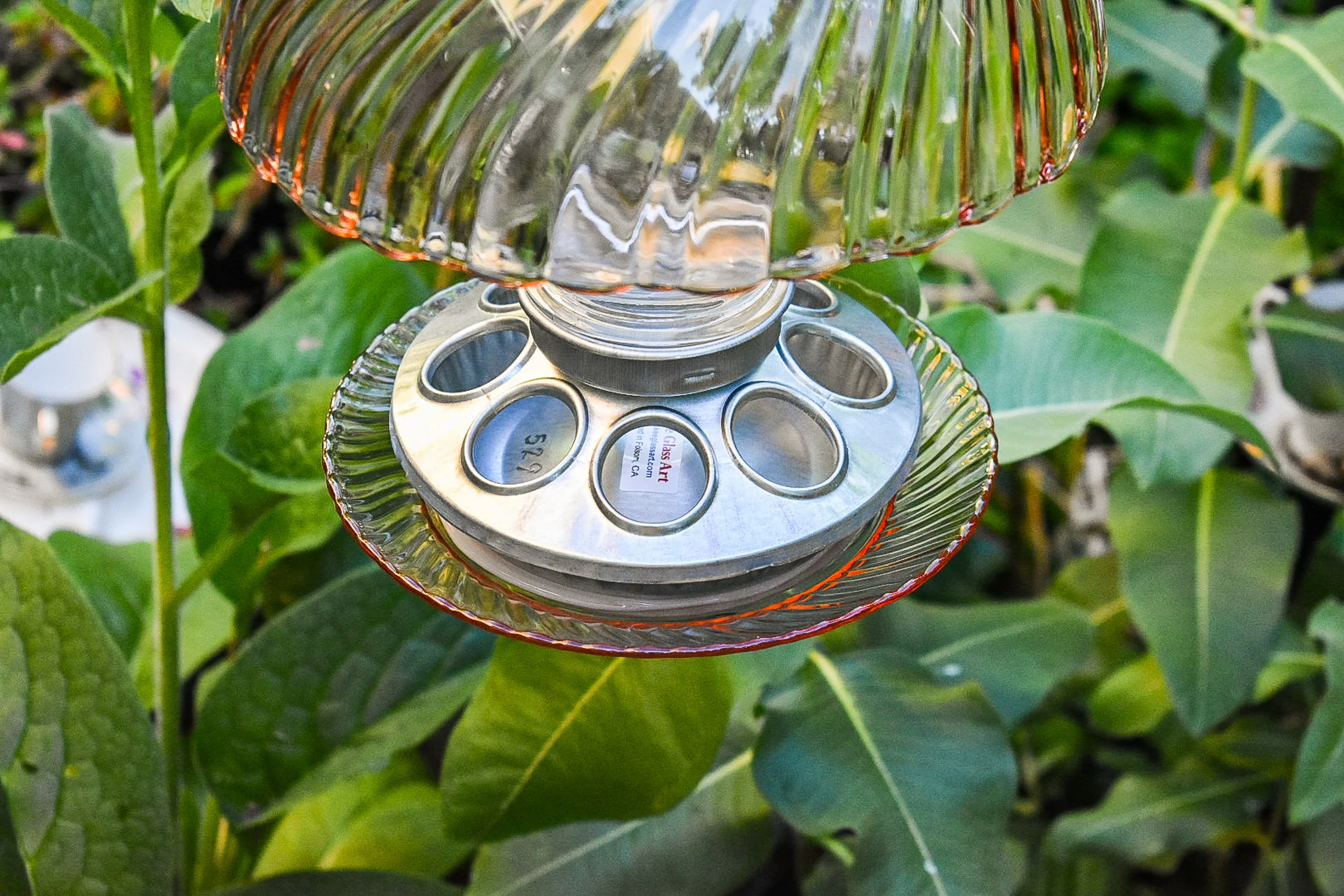 Birdfeeder529f.jpg