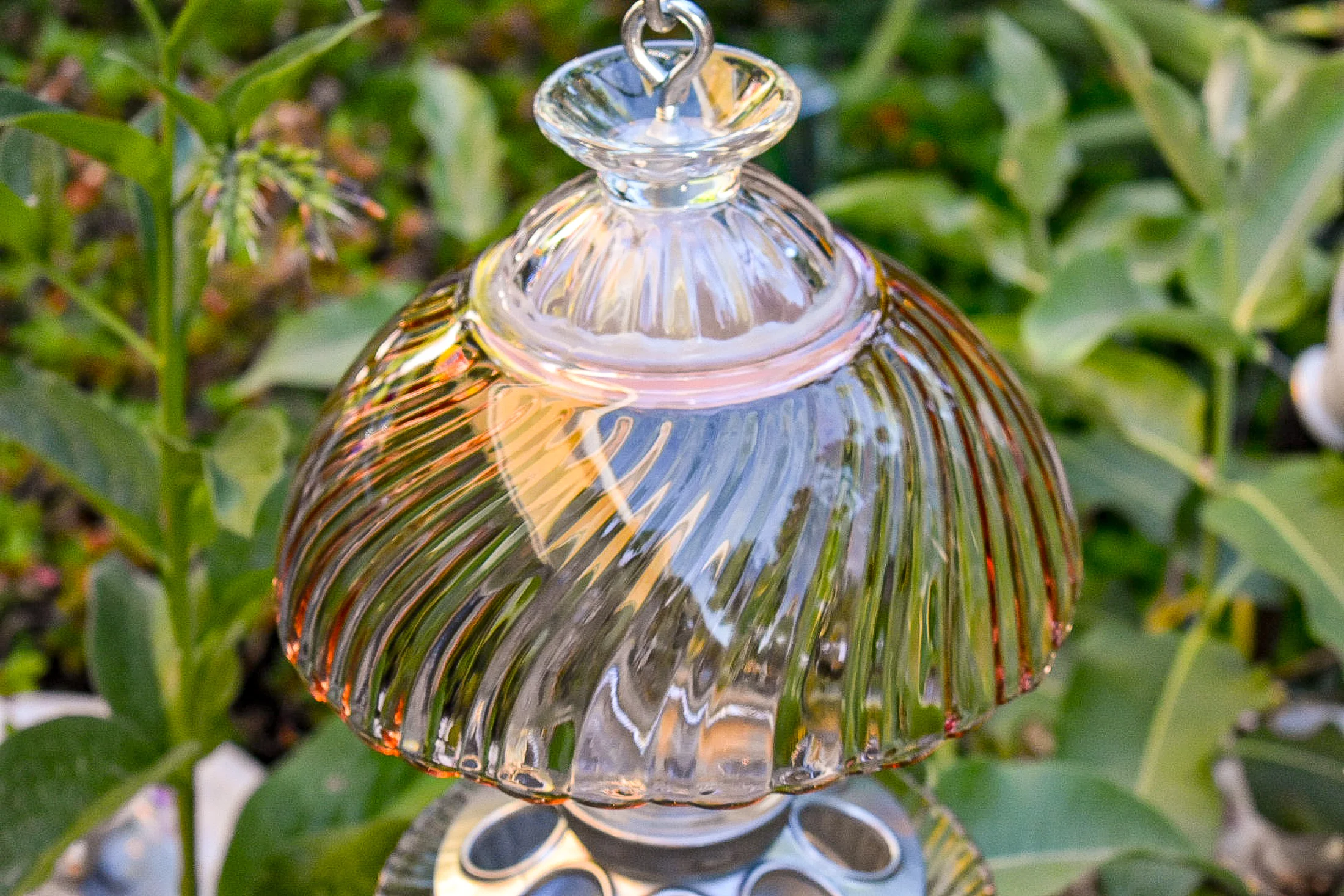 Birdfeeder529e.jpg