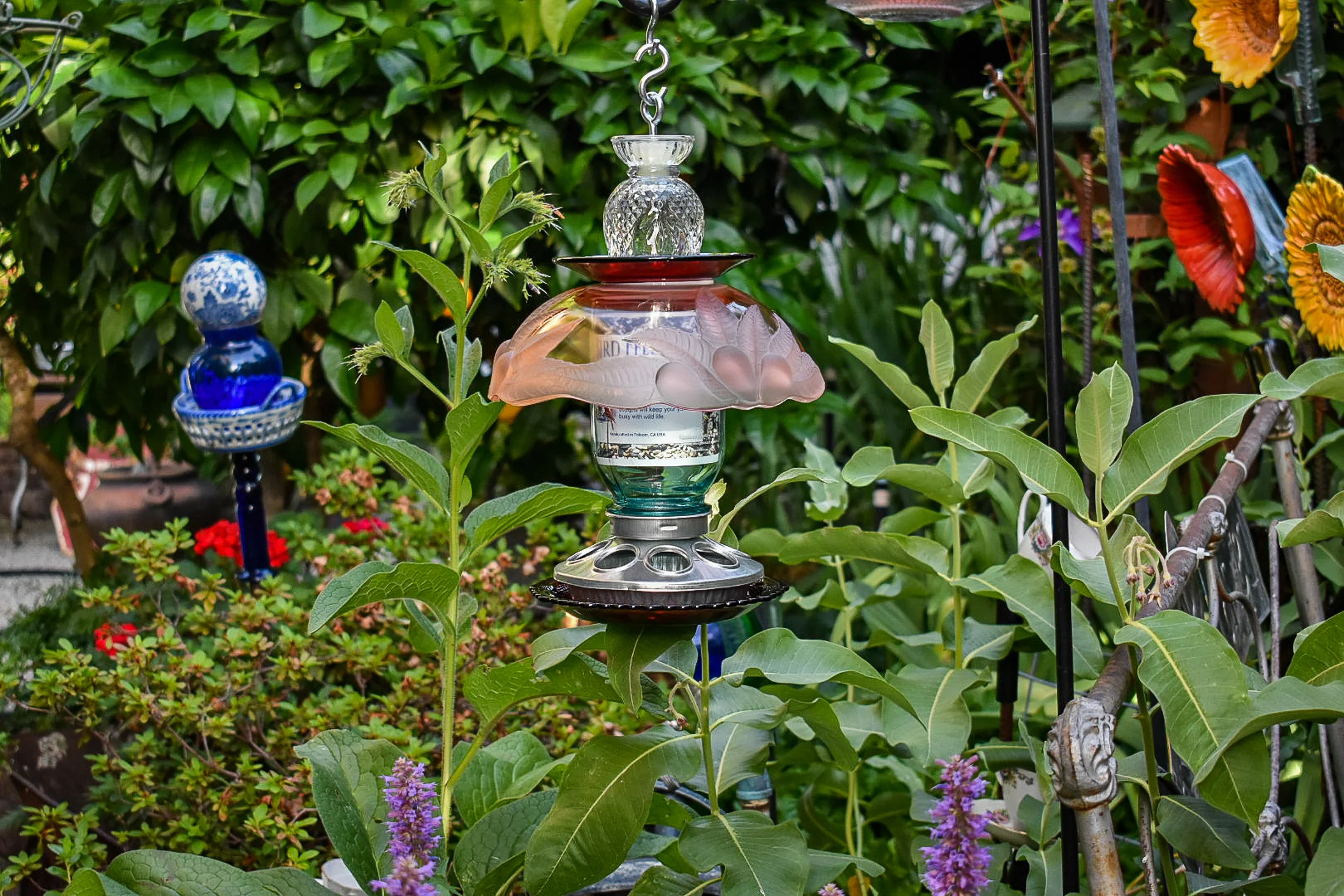 Birdfeeder502a.jpg