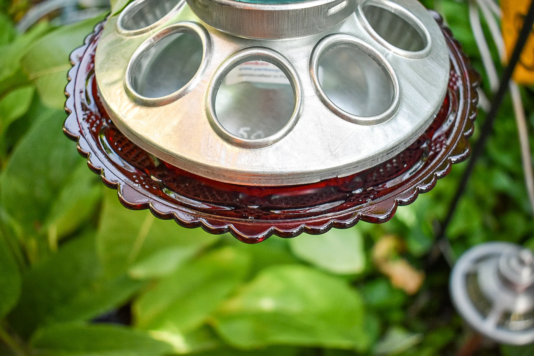 Birdfeeder502i.jpg