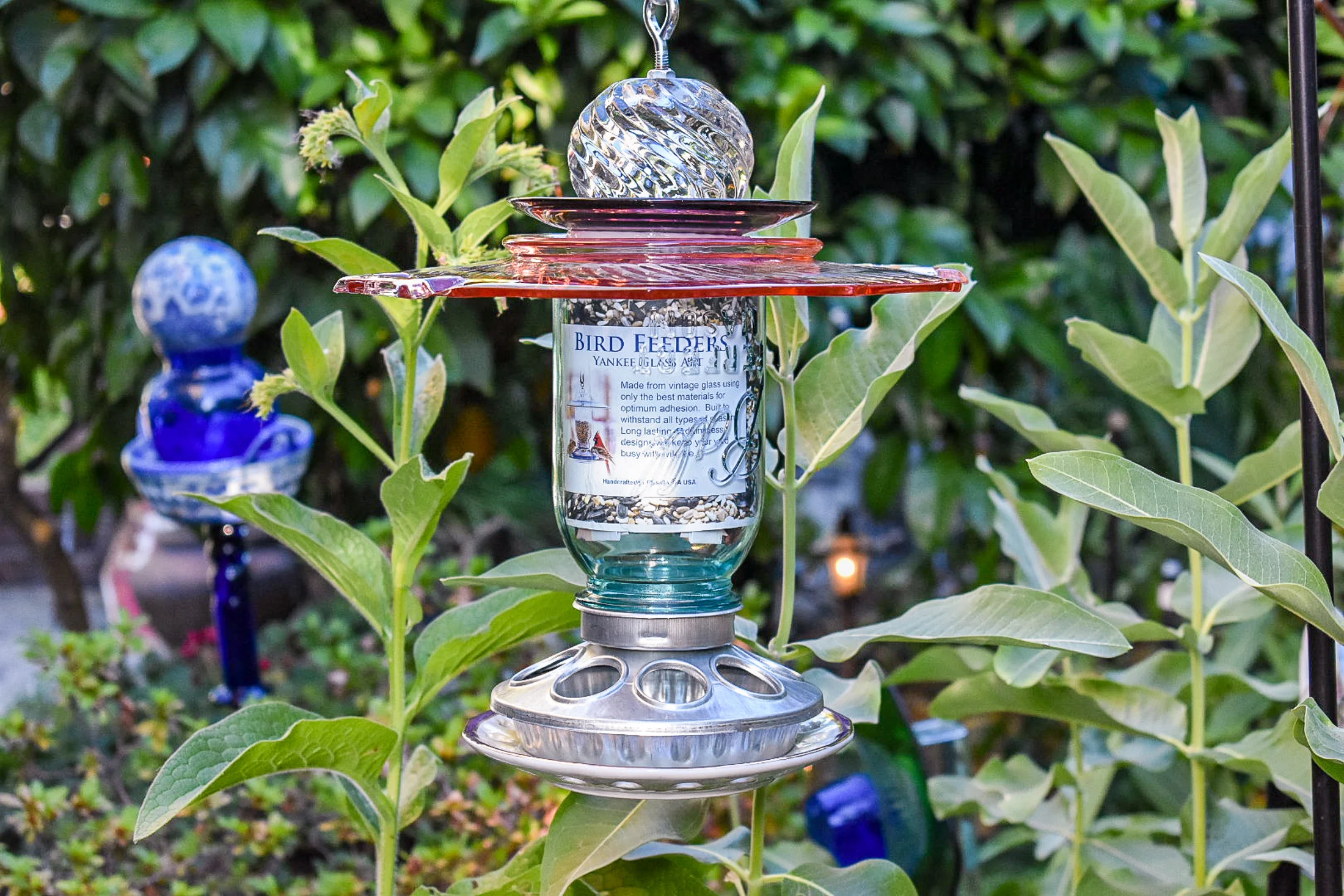 Birdfeeder508b.jpg