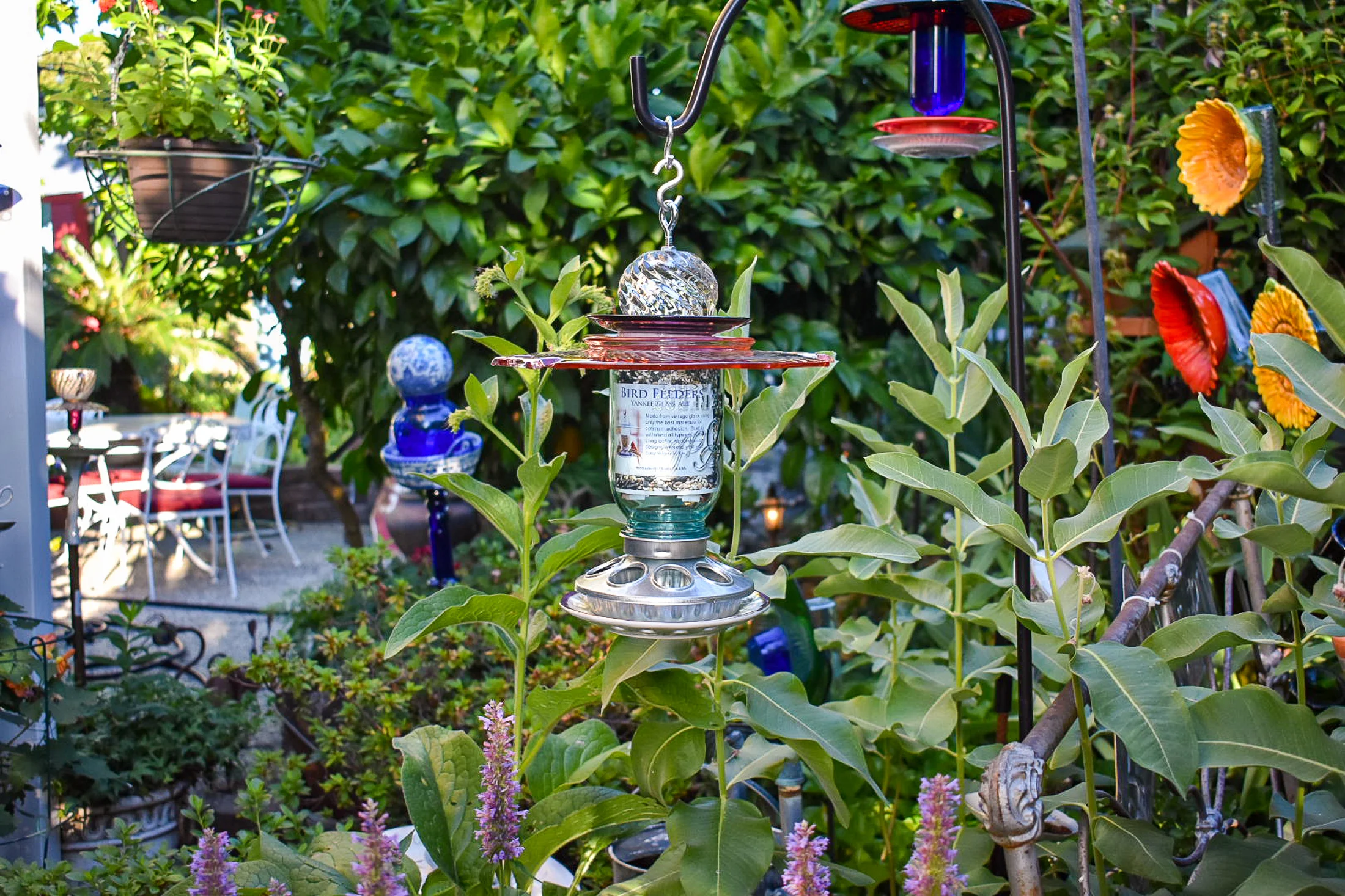 Birdfeeder508a.jpg