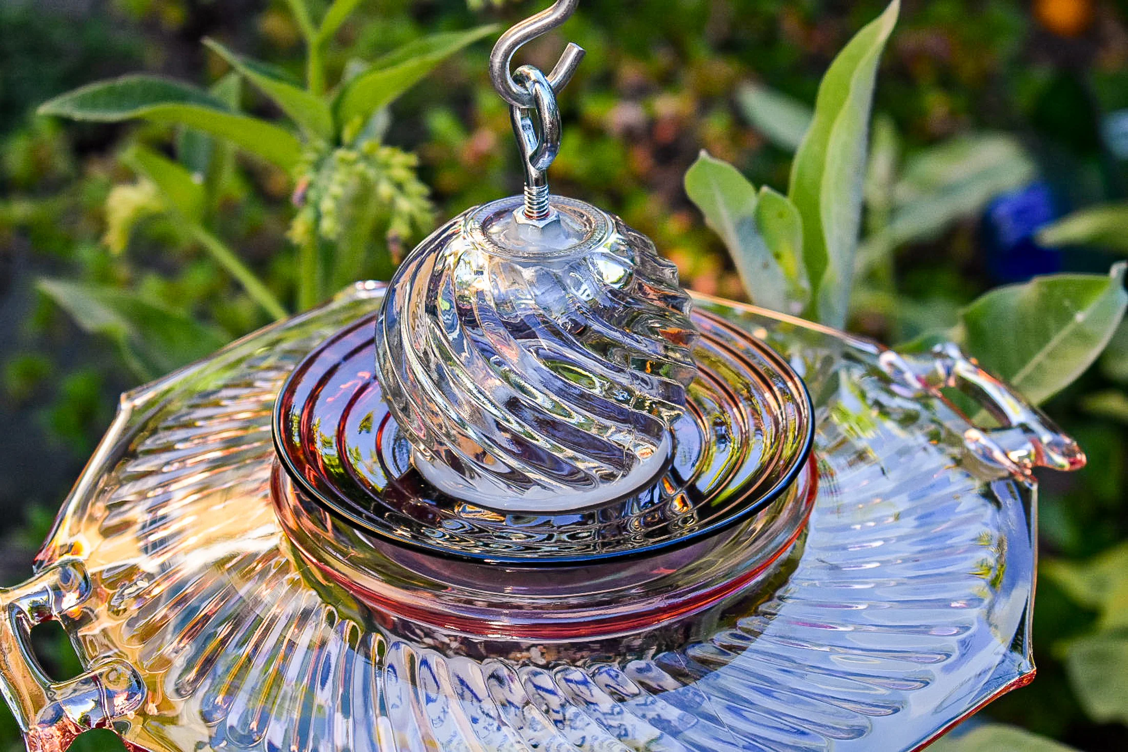 Birdfeeder508f.jpg