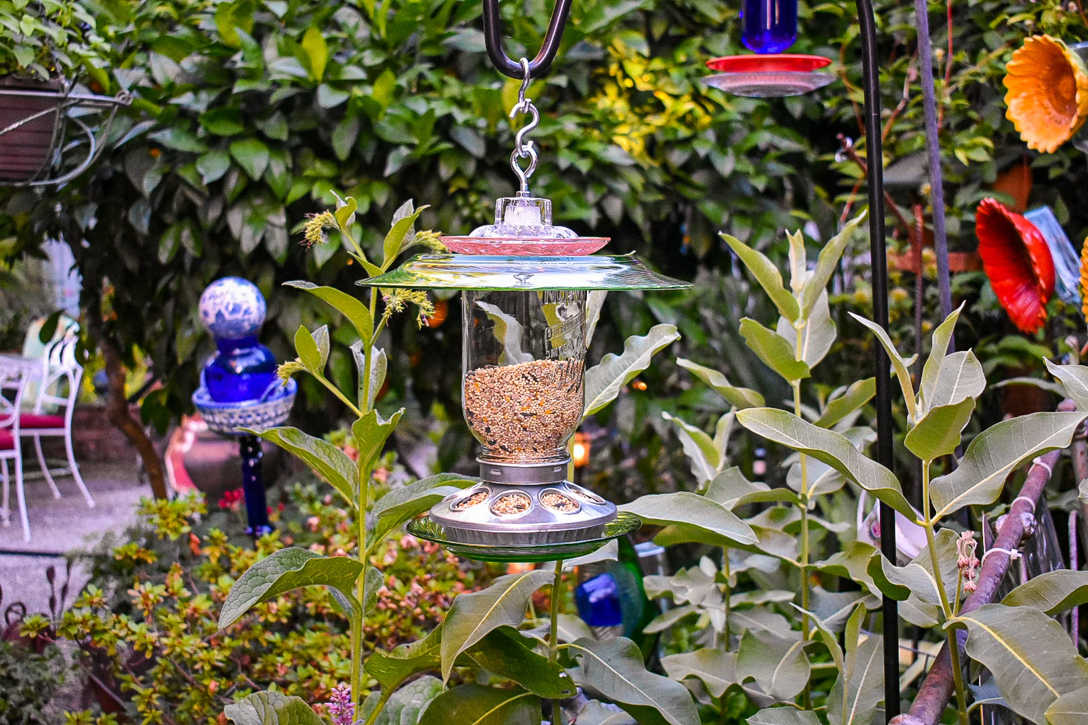 Birdfeeder540a.jpg