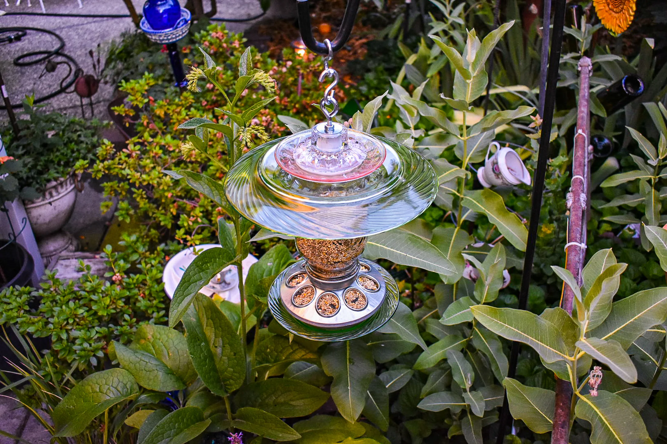 Birdfeeder540c.jpg