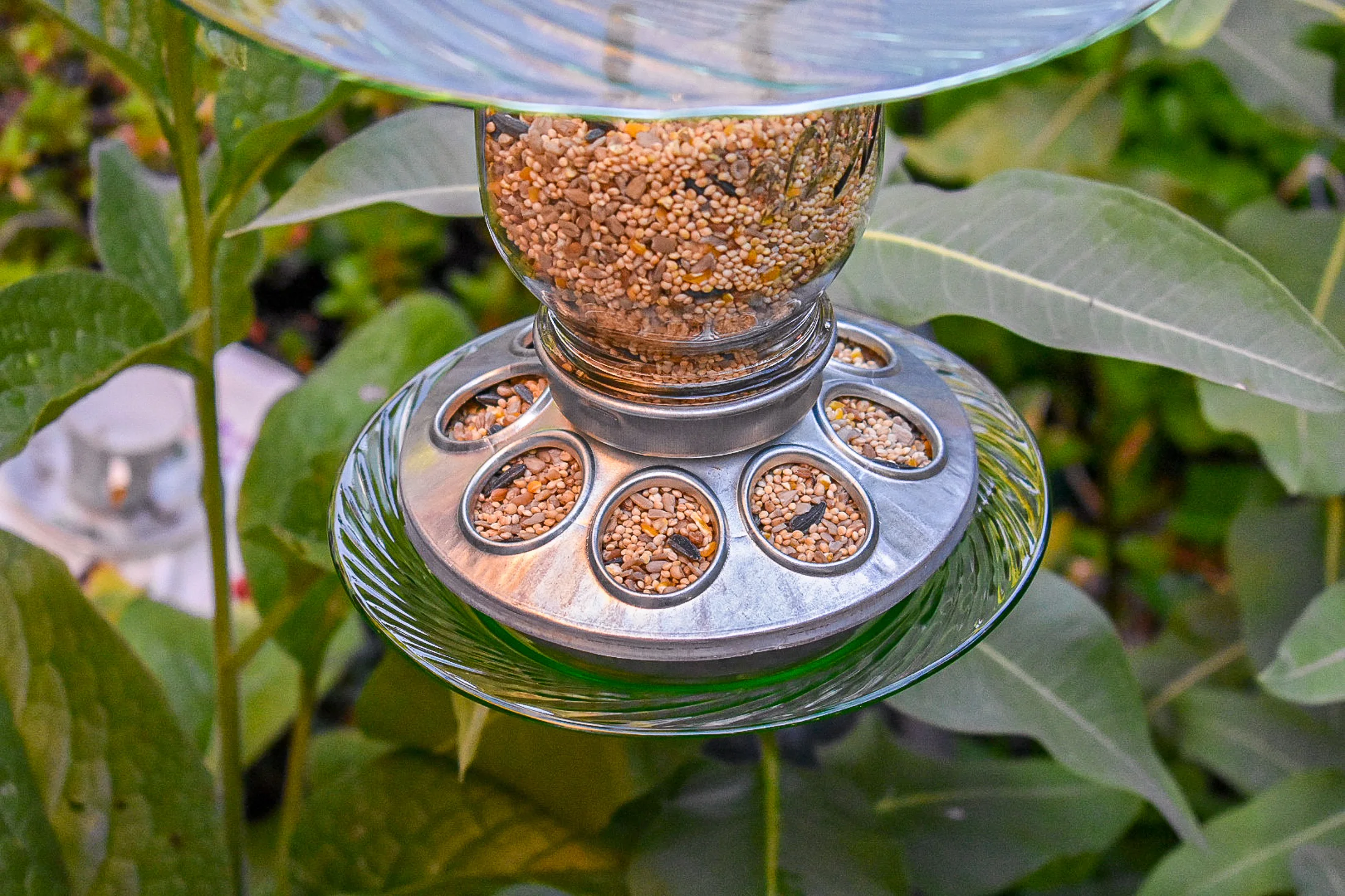 Birdfeeder540e.jpg