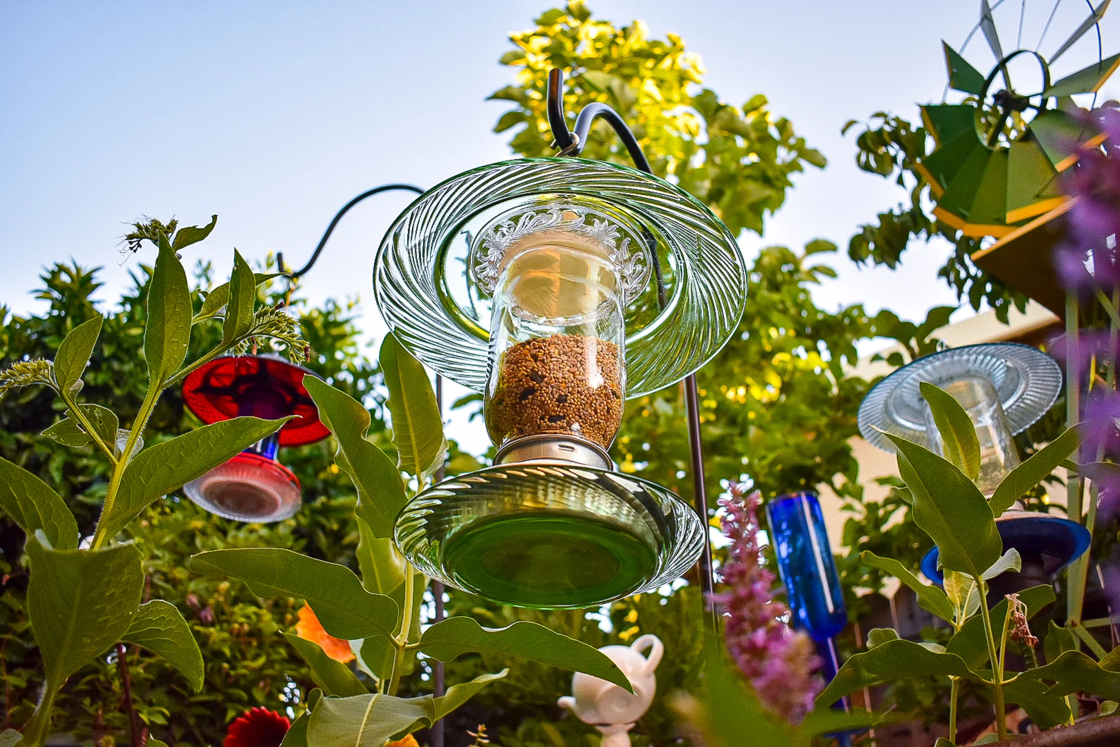 Birdfeeder540f.jpg