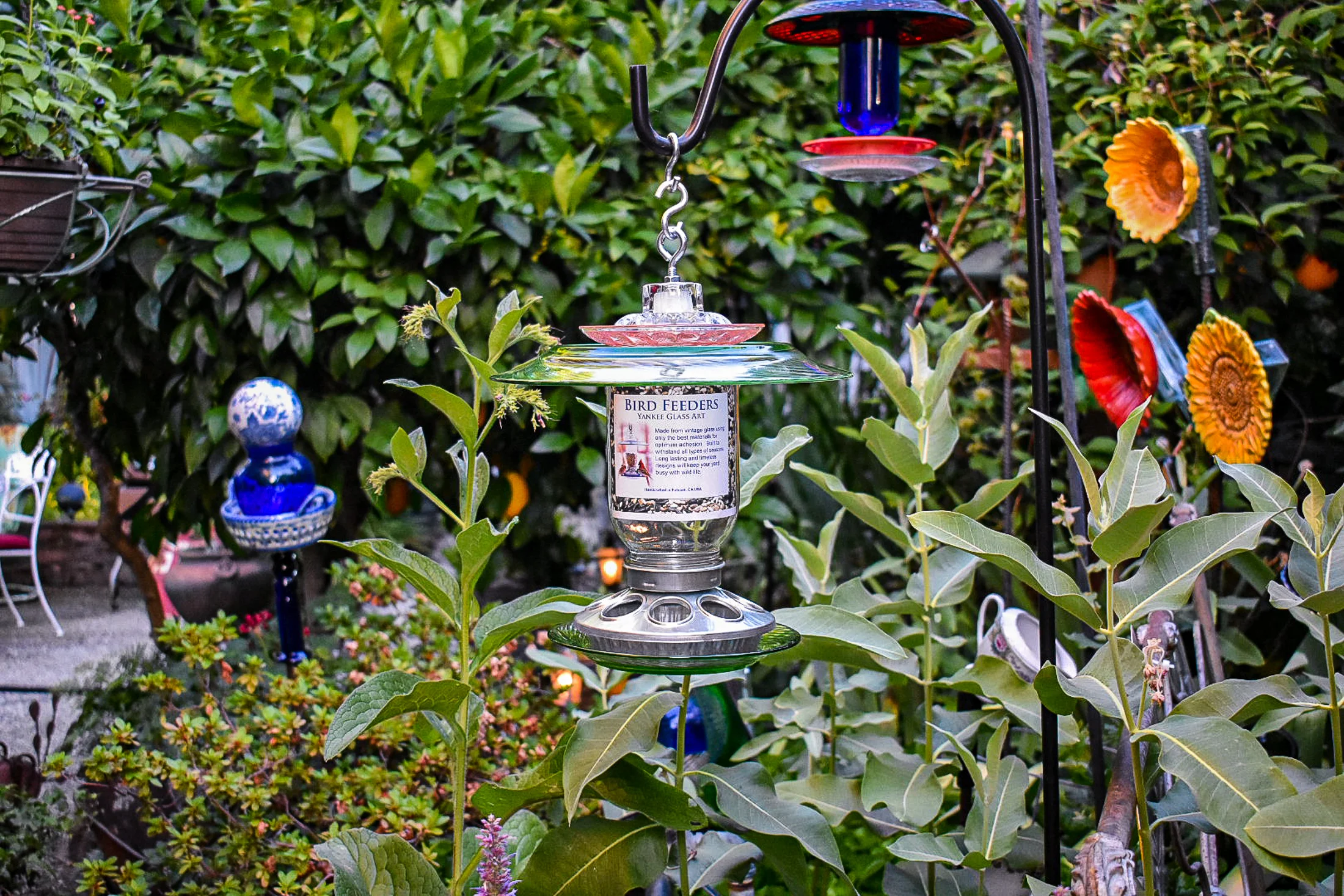 Birdfeeder540i.jpg
