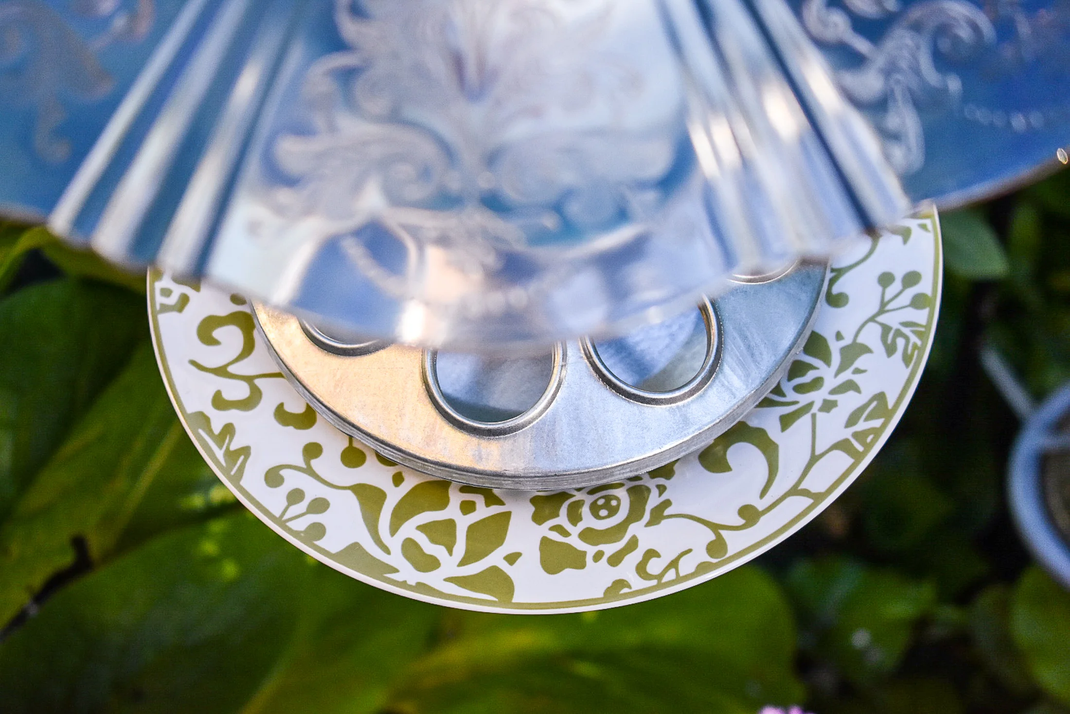 Birdfeeder509i.jpg