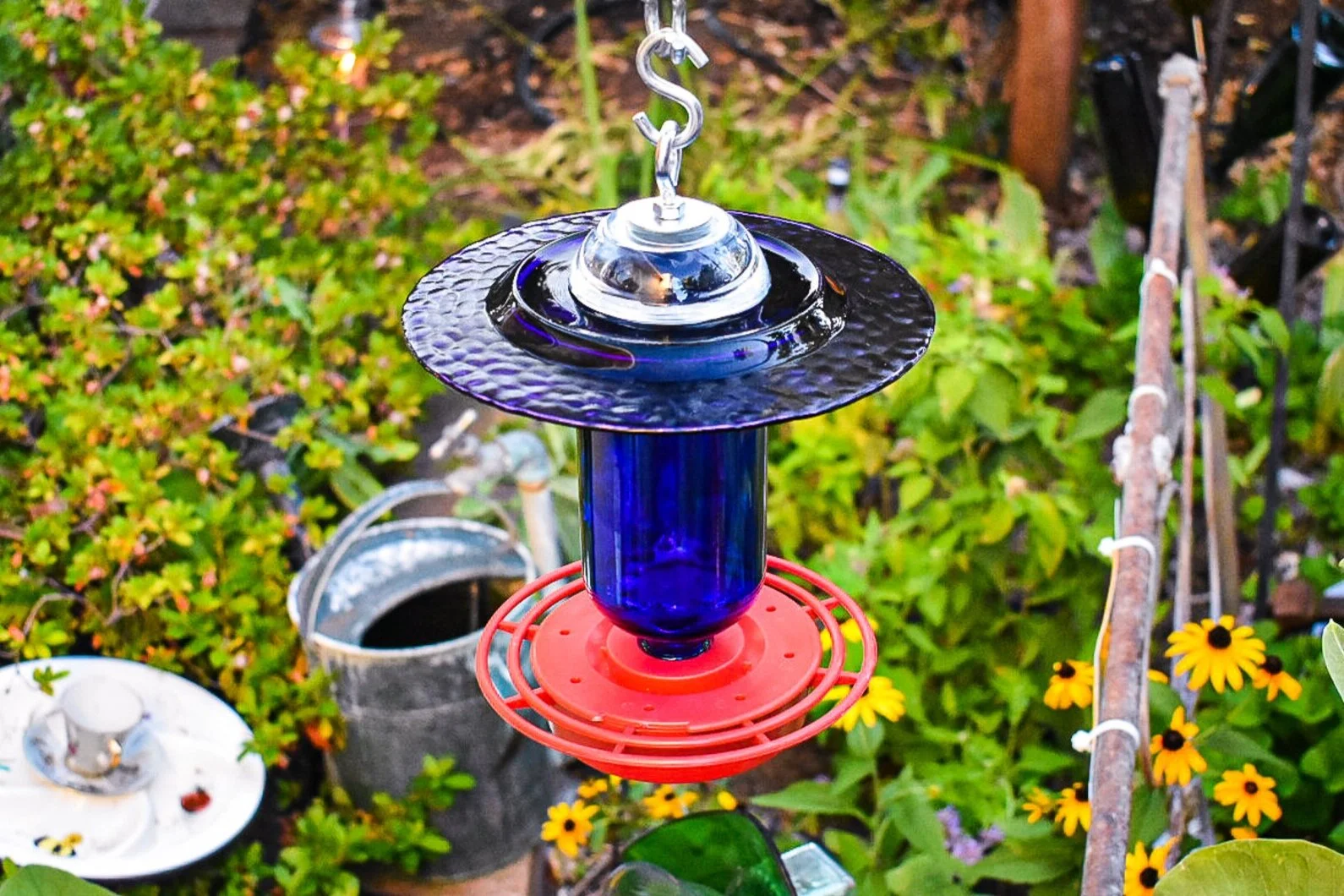 Hummingbird350c.jpg