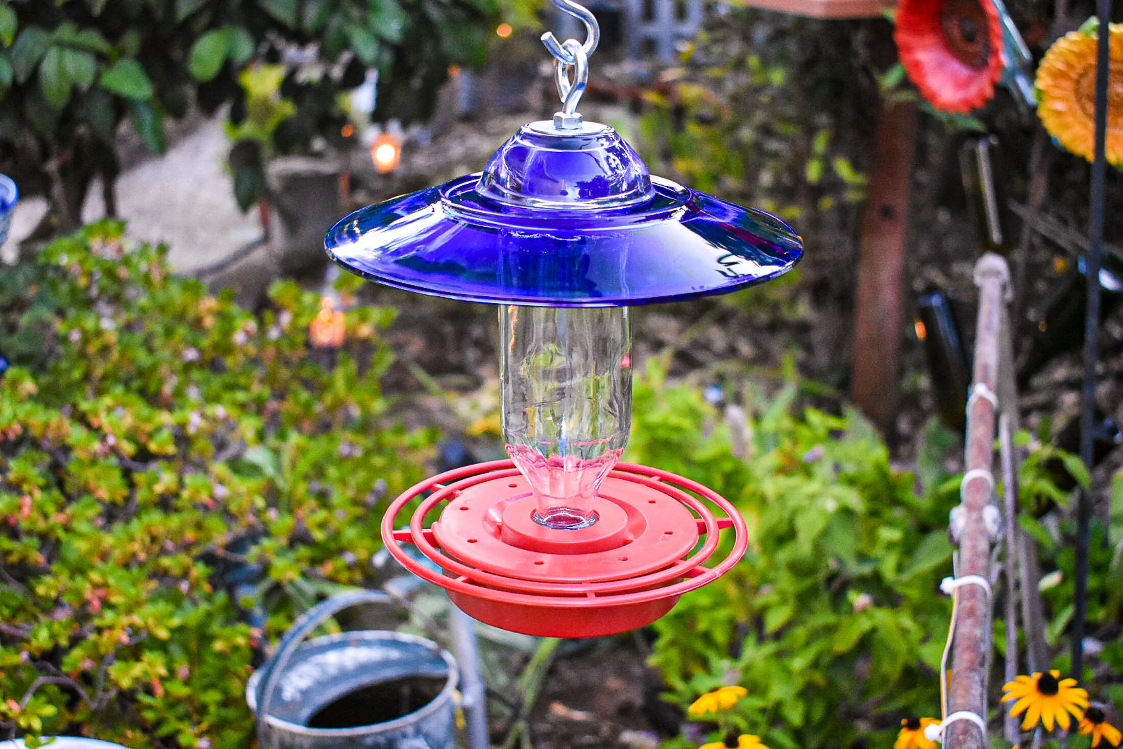 Hummingbird347b.jpg