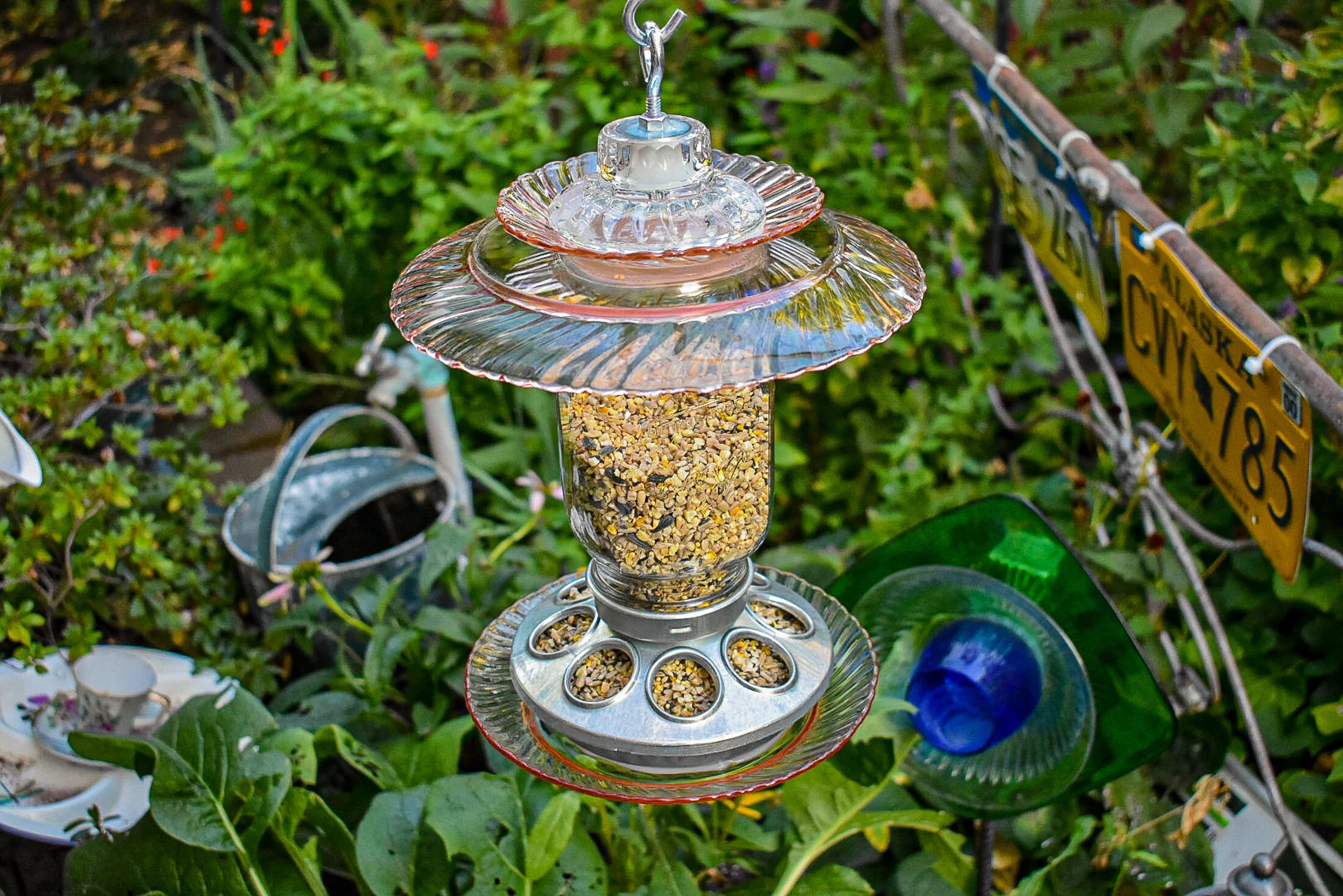 Birdfeeder585c.jpg