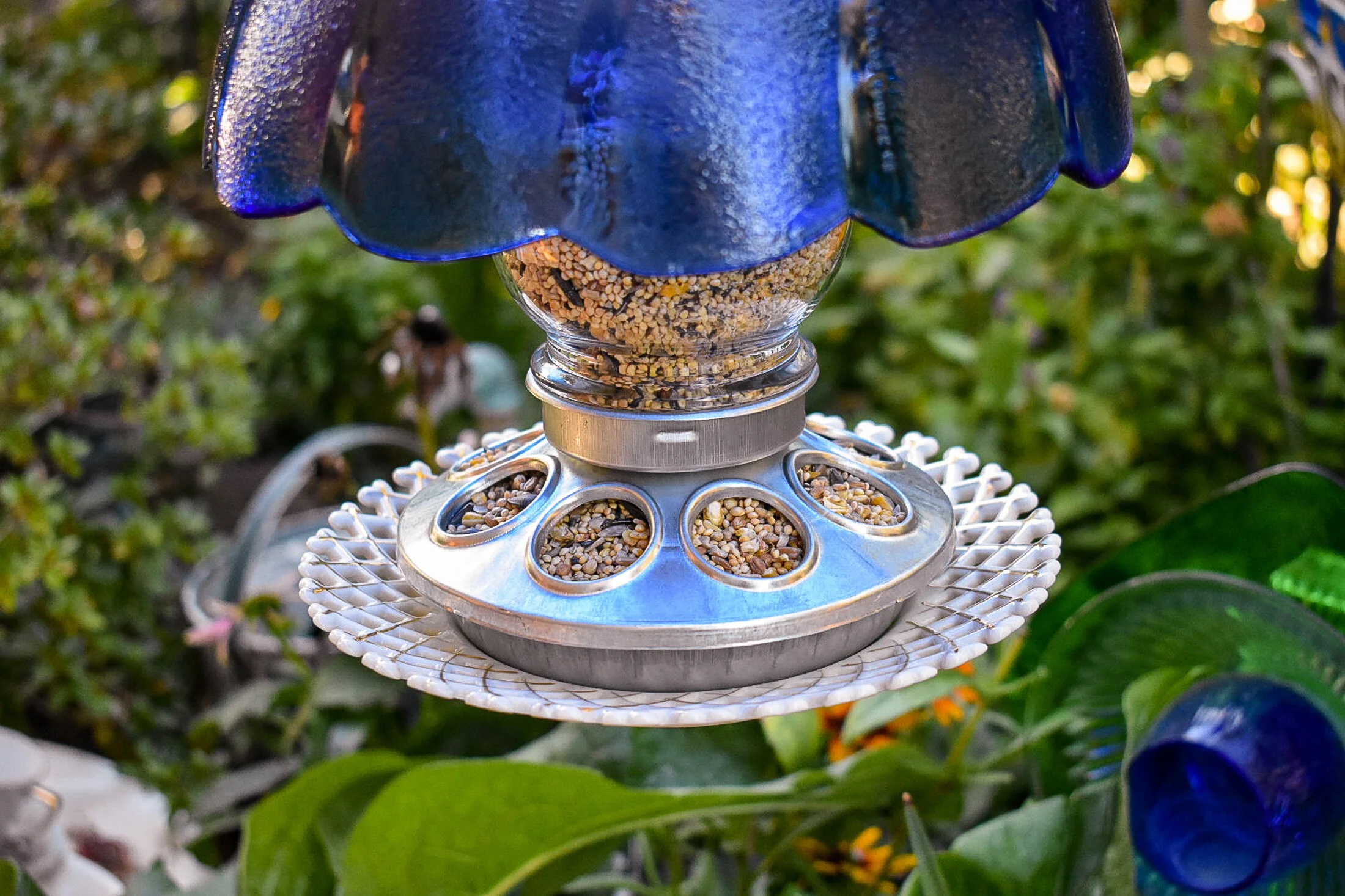 Birdfeeder573m.jpg