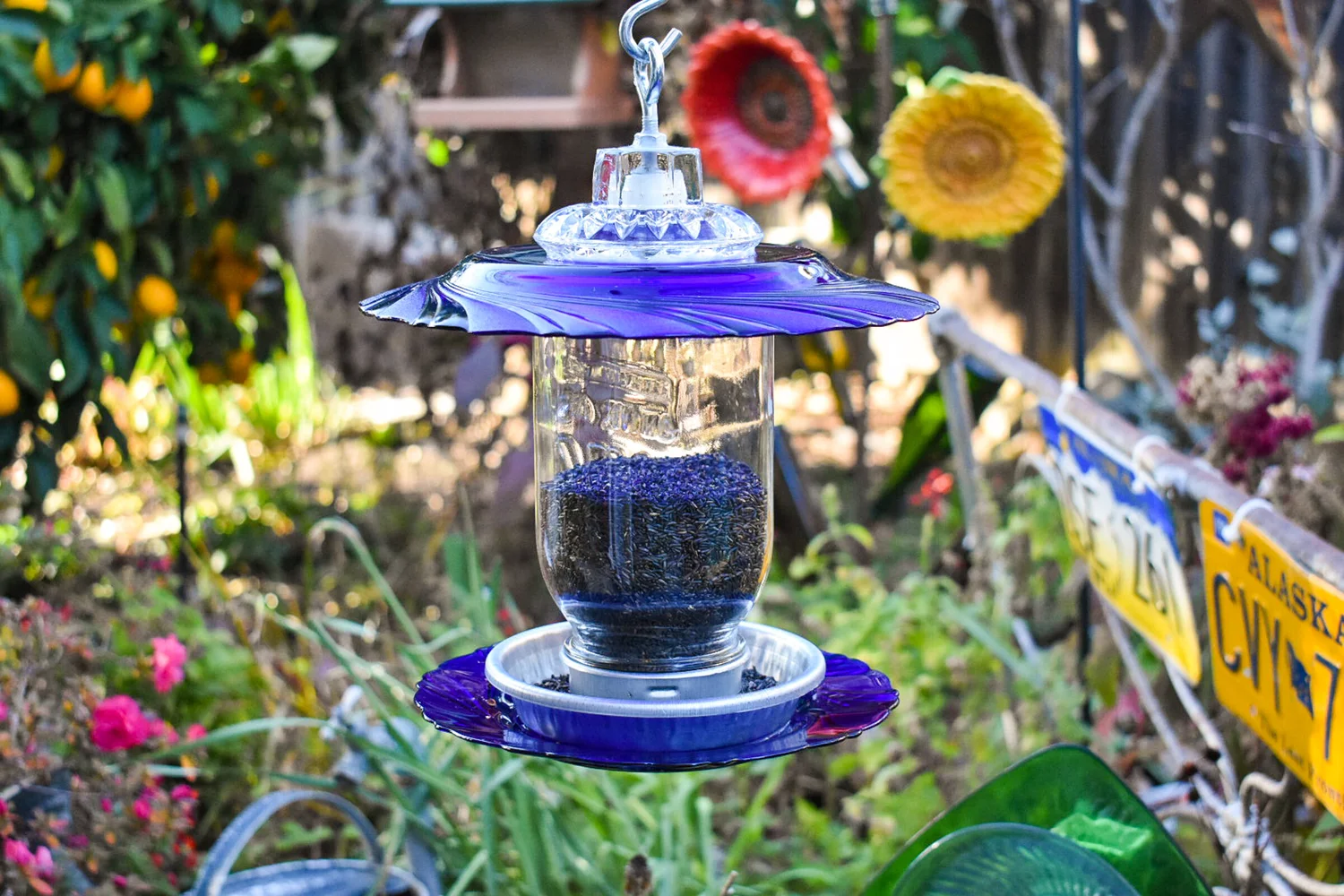 Classic Bluebird Feeder Mason Jar Handmade Lil Blue Finch Thistle