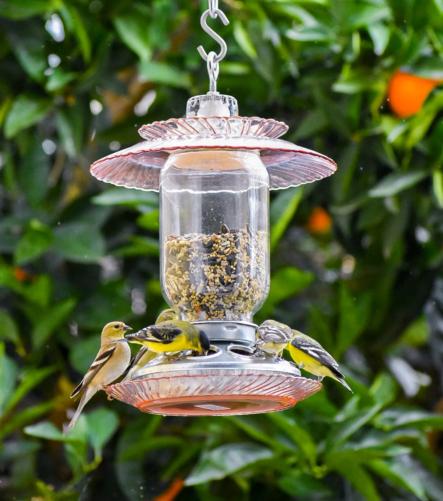 Hanging Bird Feeder Glass Handmade Mason Jar Pink Skies Deligh