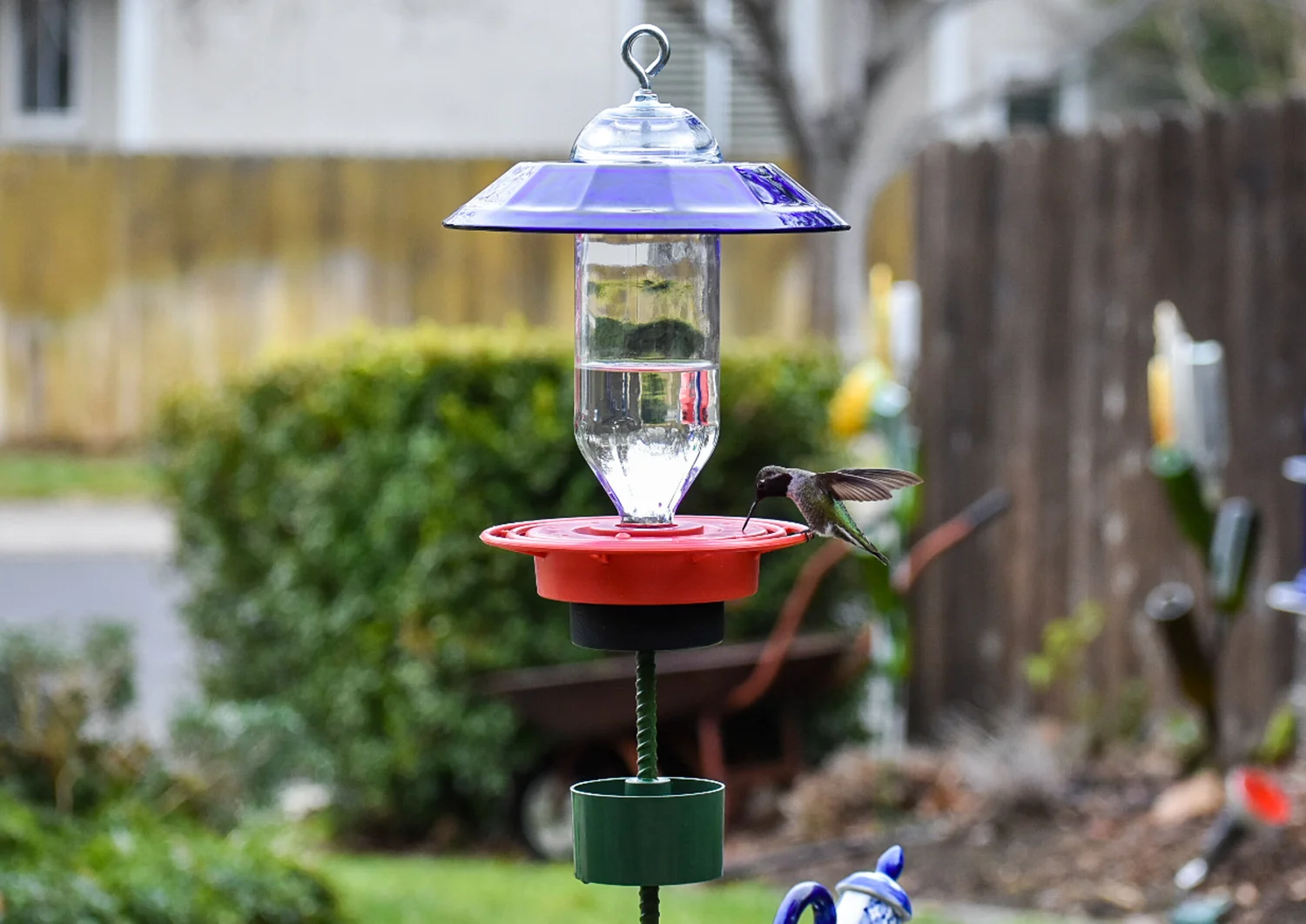 Hummingbird Feeder Pole Adapter Kit With Ant Trap For 3 8 Pole