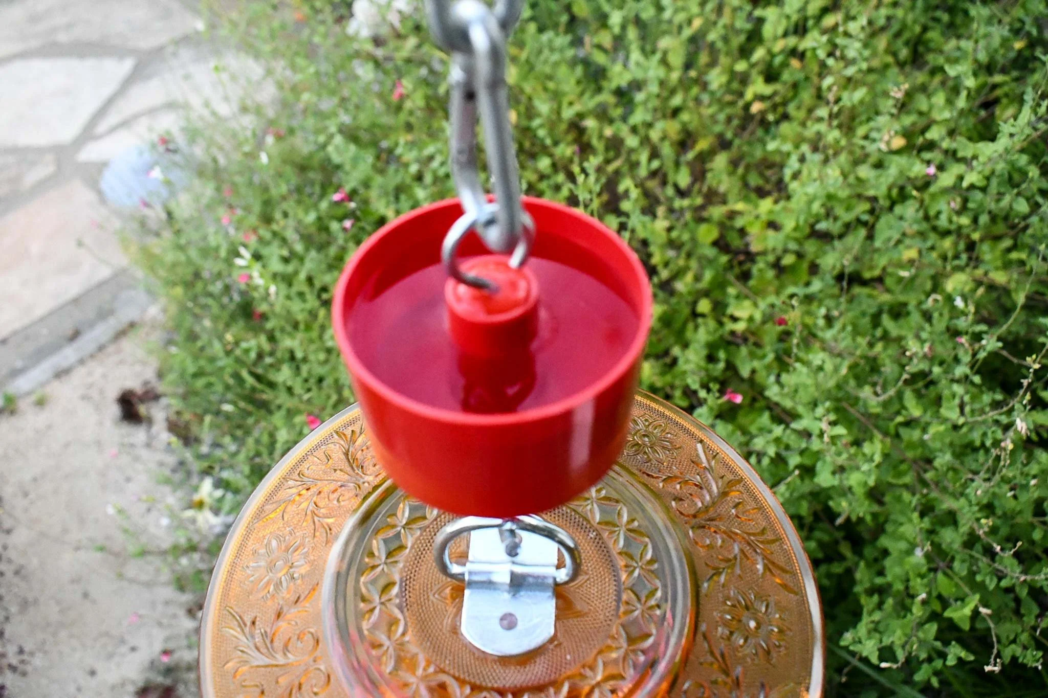 Close-up of a red ant trap positioned between a hanging hook and bird feeder.