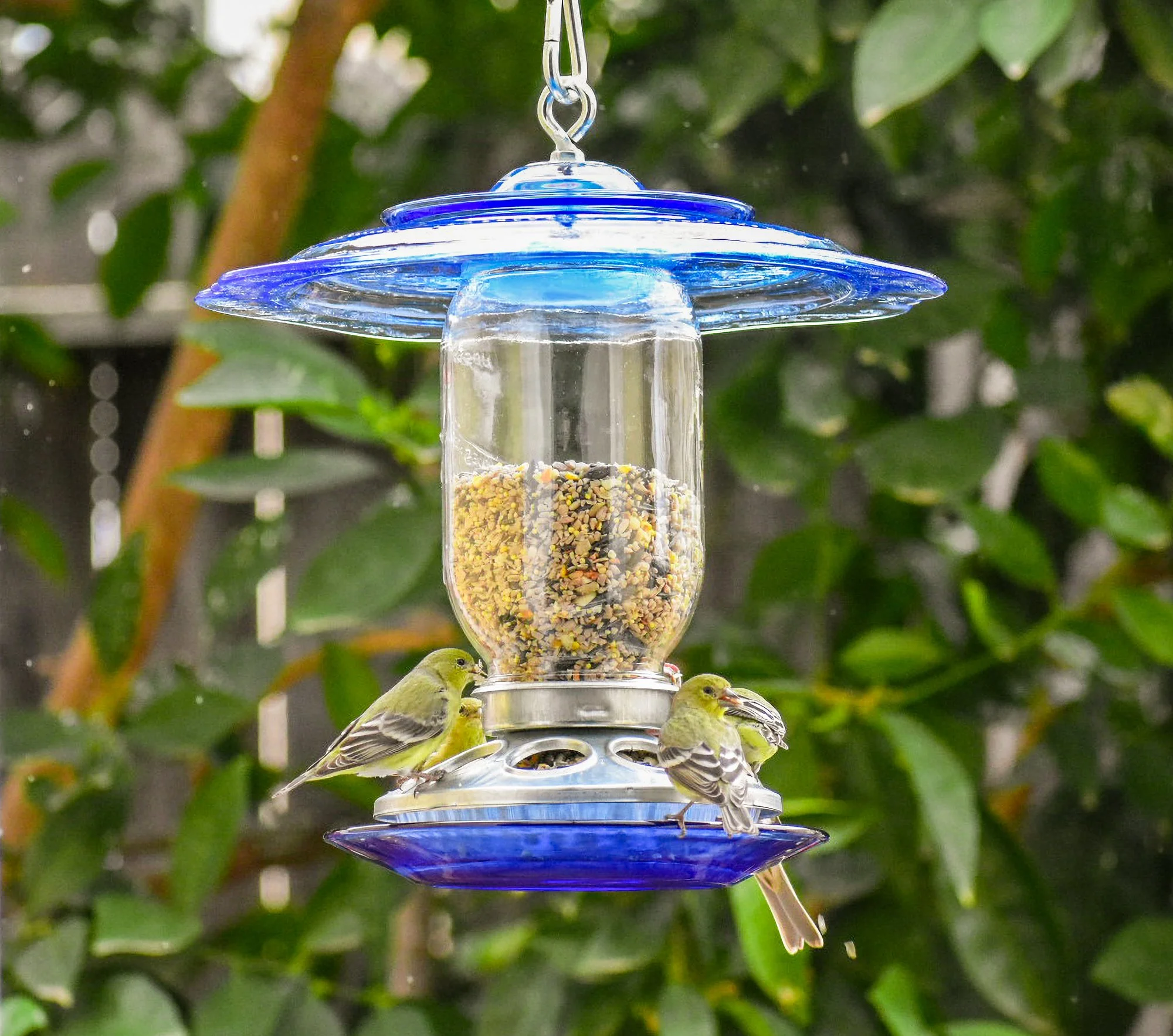 Bird Lovers Gift