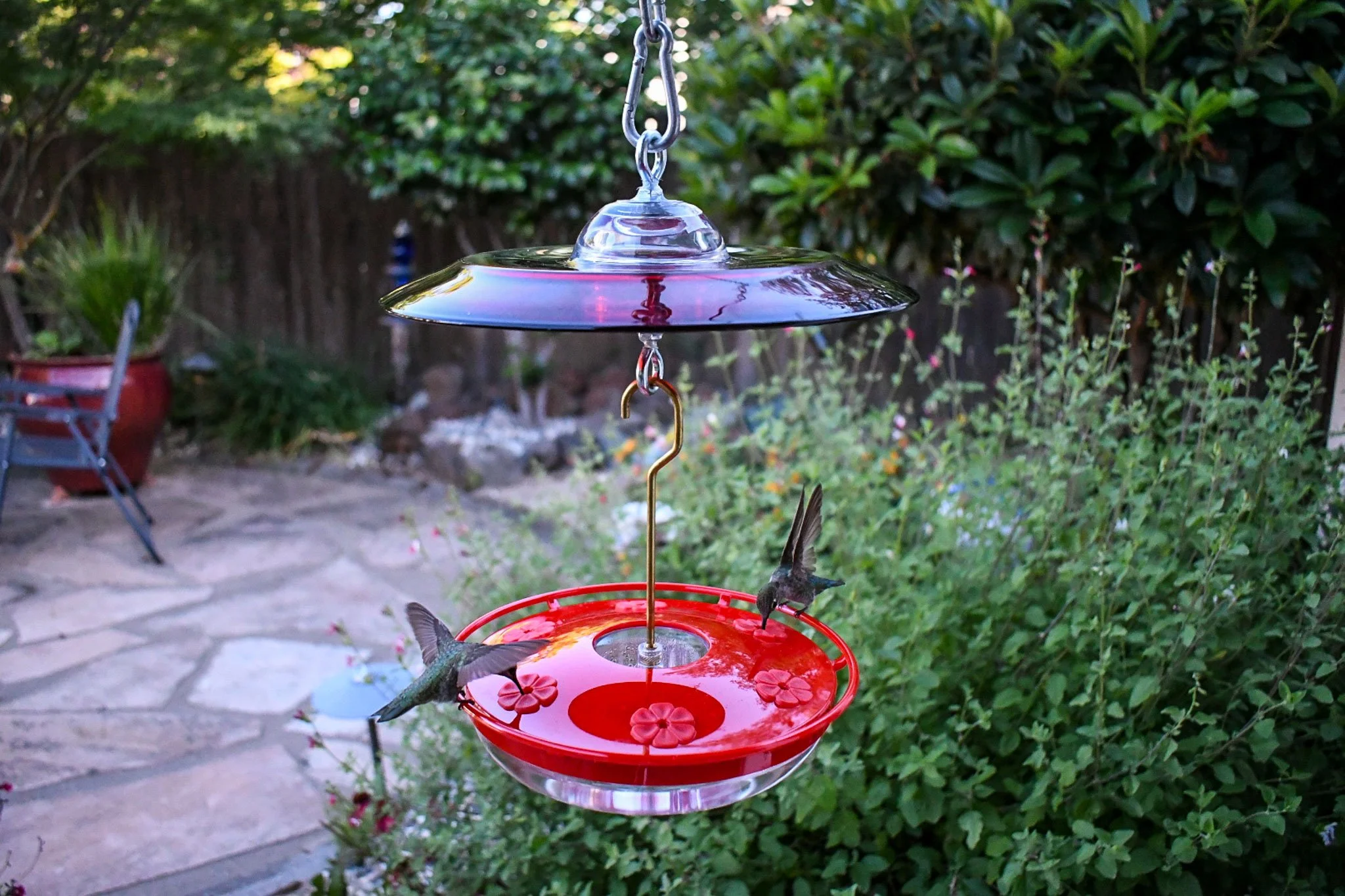 Durable polycarbonate hummingbird feeder with comfortable perches and easy-clean design.