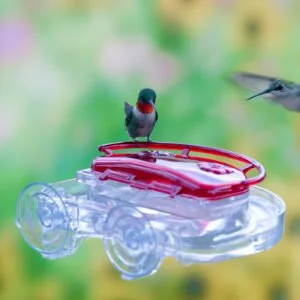 Aspects The Gem window hummingbird feeder with Anti-Insect Kit and wrap-around ant moat shown with hummingbirds feeding.