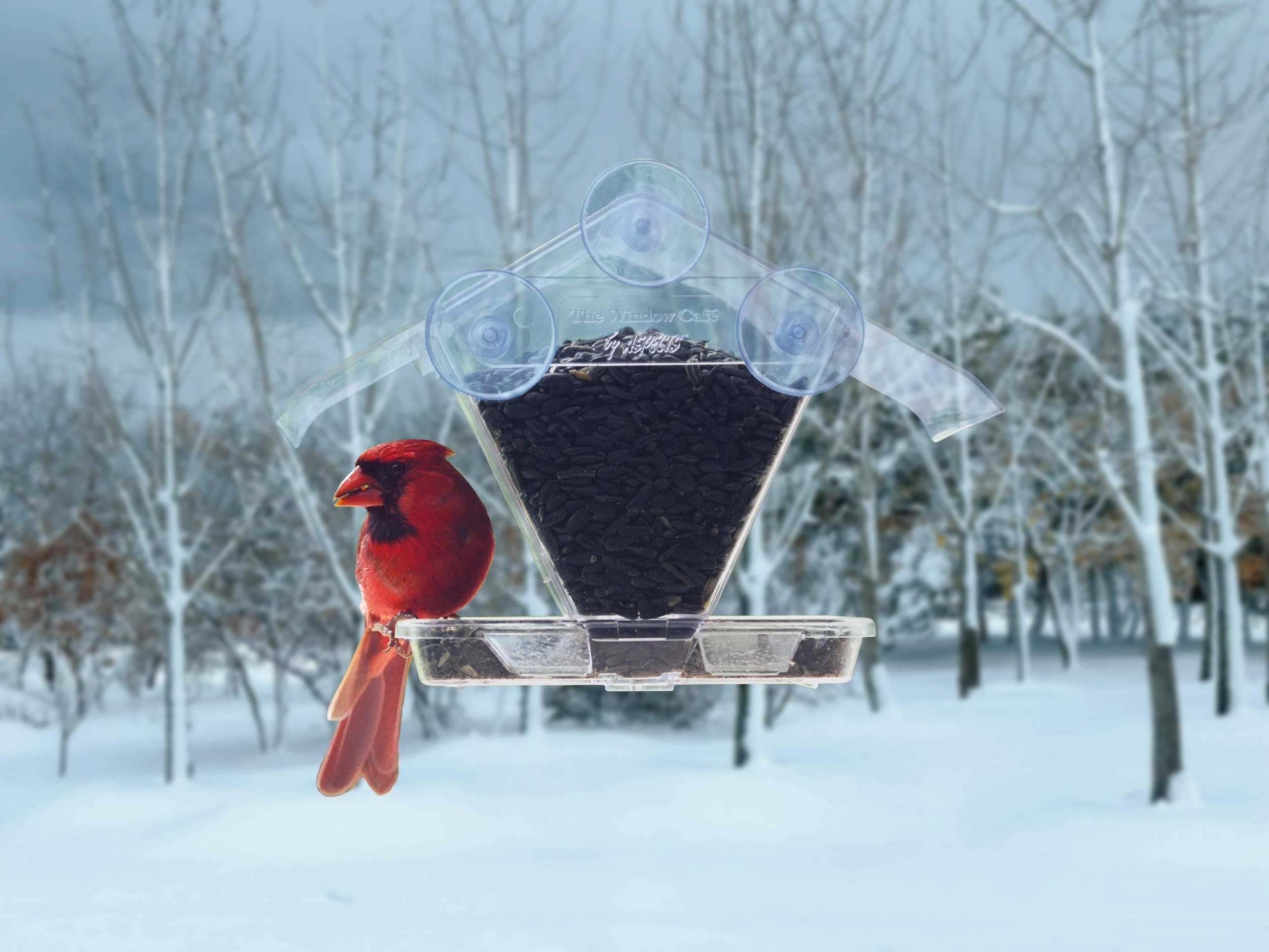 Aspects #155 Window Cafe clear window bird feeder with a northern cardinal visiting during a snowy winter day.