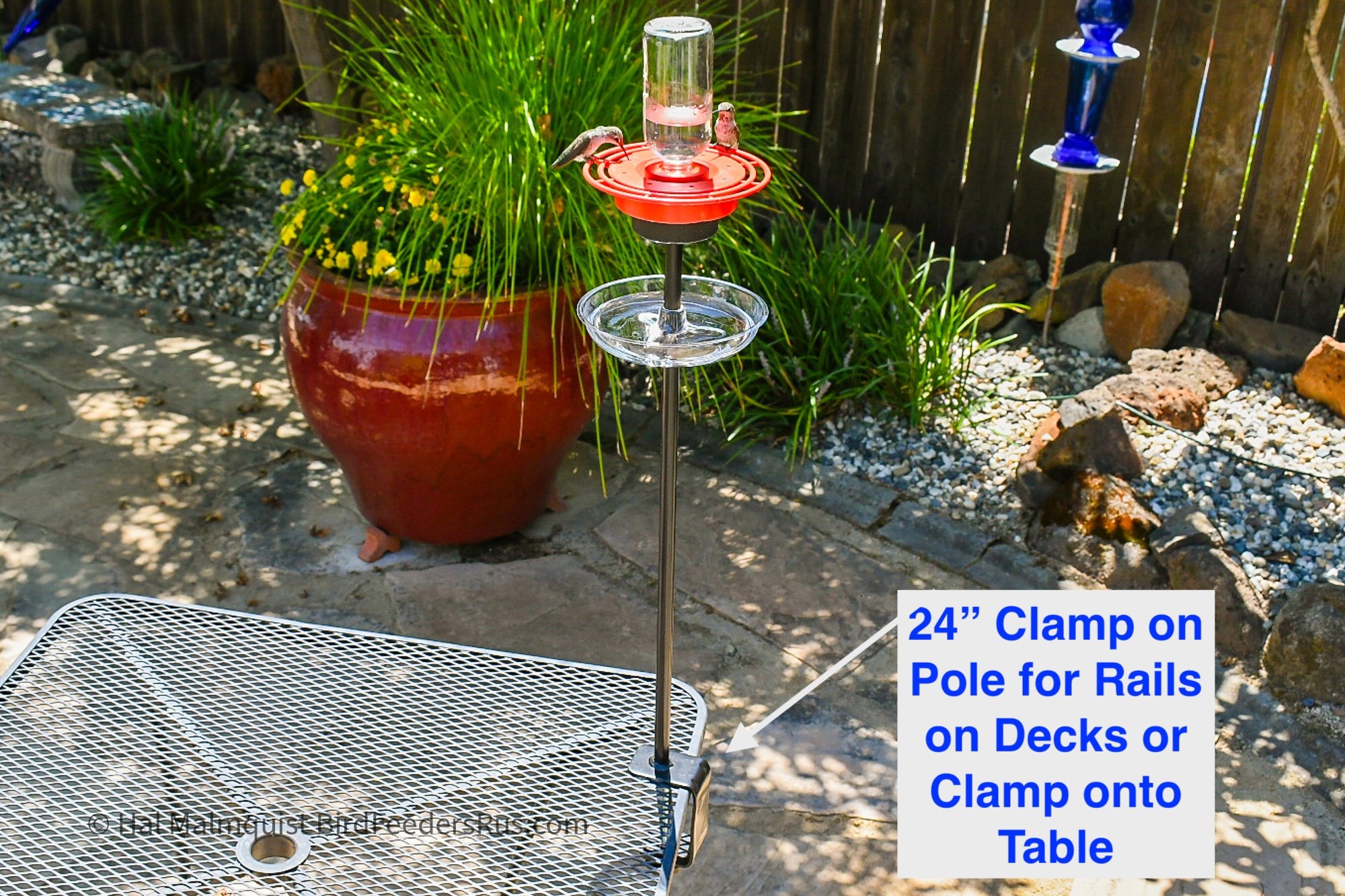 An optional black steel pole installed on a table or Patio Railing supports a red hummingbird feeder on top and a clear glass DAZ ant mote below. A text overlay on the image reads: "48” Steel Pole