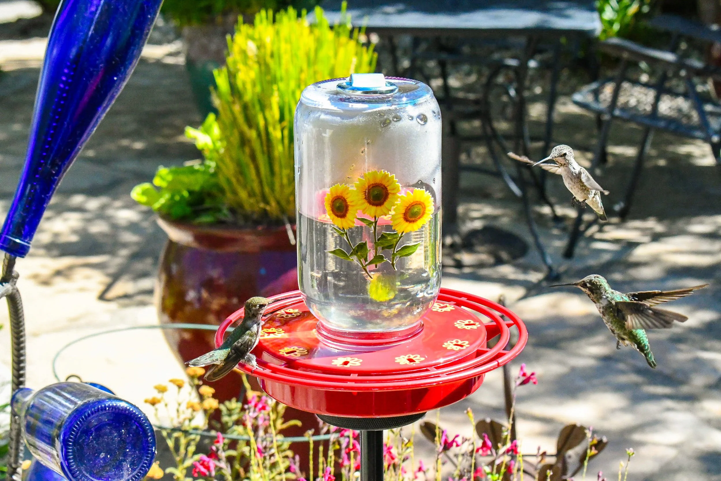 ERVA DAZ Ground Pole shown with hummingbird feeder in a backyard setting, demonstrating a compact ground-mounted feeding station. Feeder not included.
