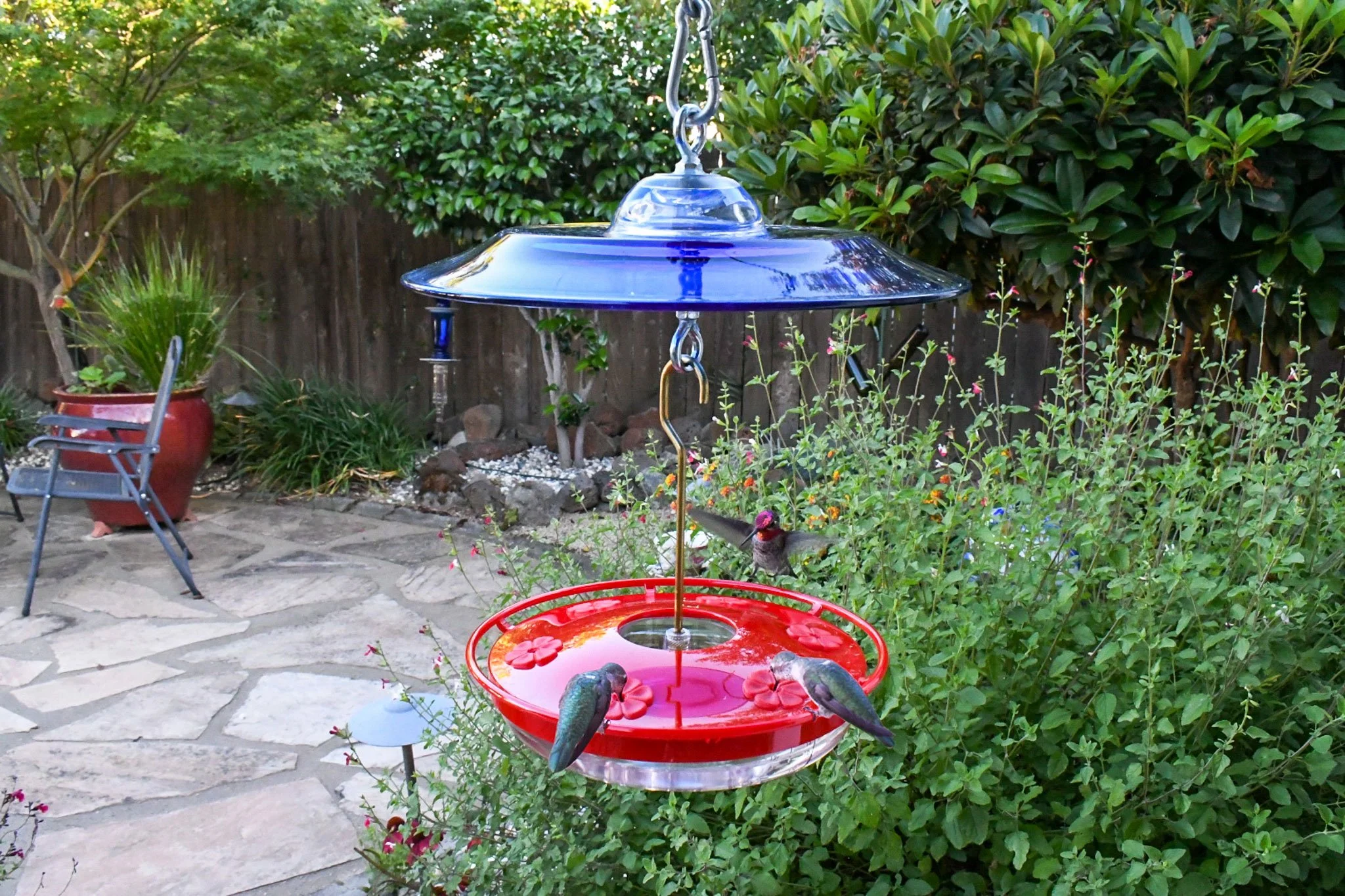 Leak-proof Aspects HighView Excel feeder with six raised feeding ports for hummingbirds.