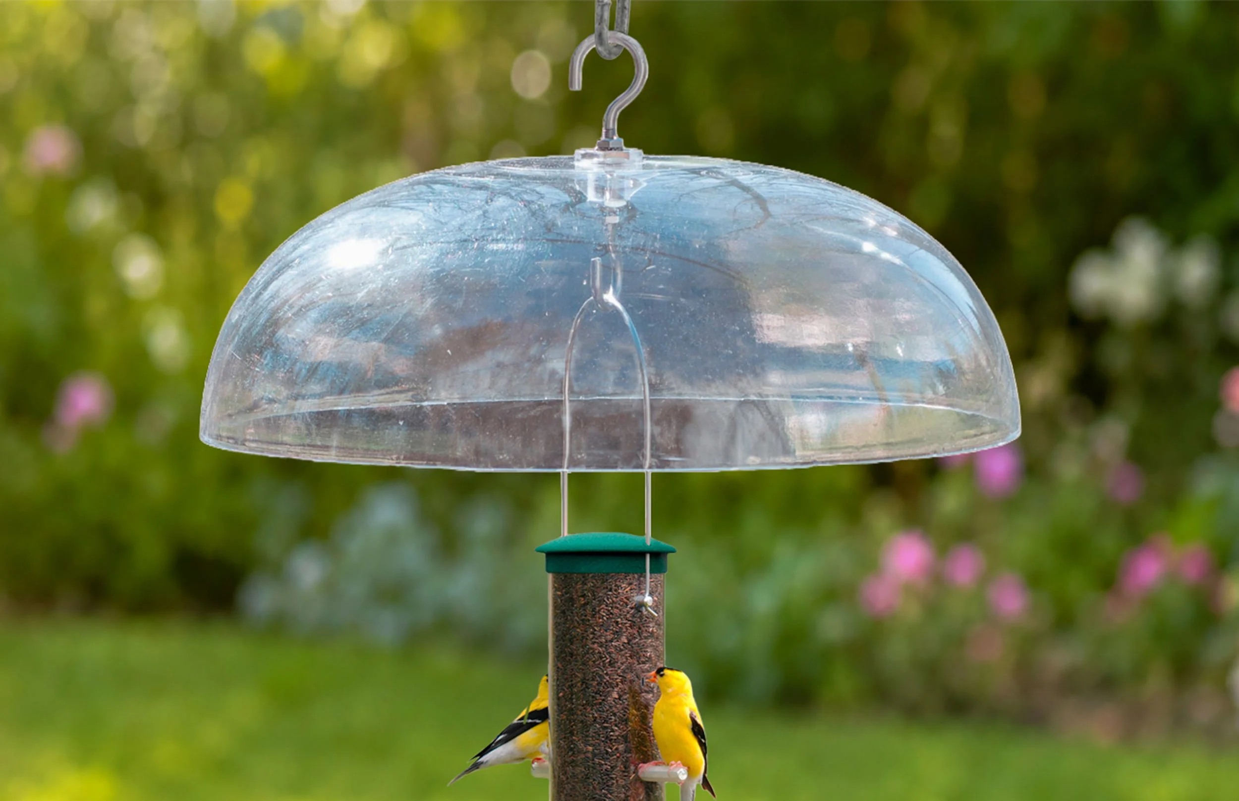 Aspects 264 Weather Dome close-up protecting a hanging finch feeder from rain and weather in a backyard garden.