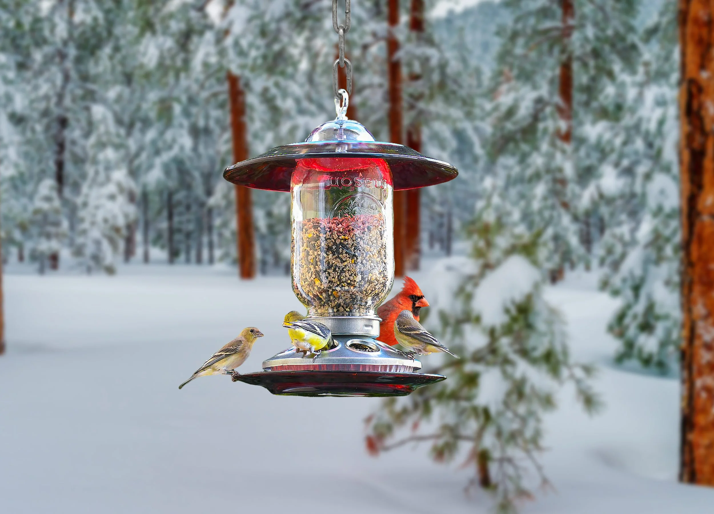 Red Glass Mason Jar Seed Bird Feeder