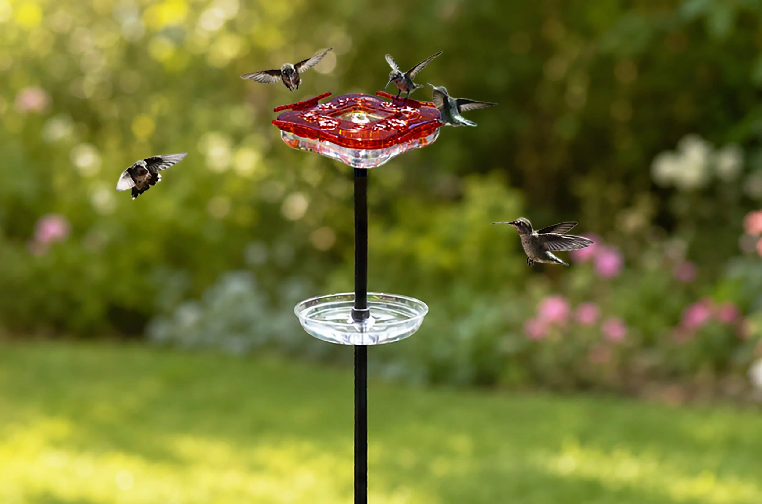 Aspects HighView Square hummingbird feeder on ground pole with hummingbirds feeding in a backyard garden