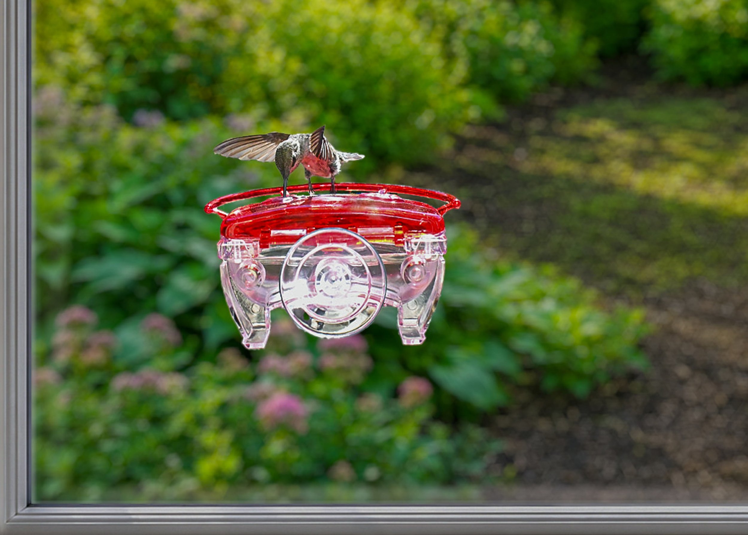 The Aspects The Gem 4 oz Window Hummingbird Feeder mounted directly to a window with a hummingbird feeding. Made in the USA with durable polycarbonate construction for close-up bird watching.