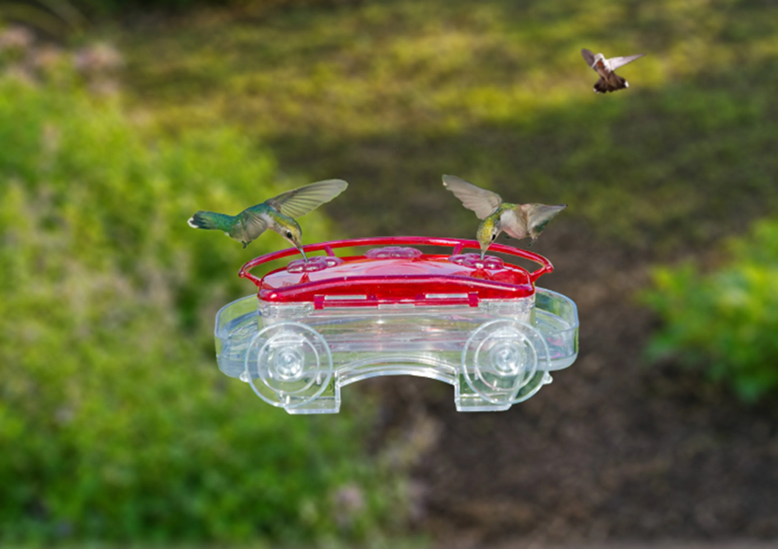 Aspects 407 Jewel Box window hummingbird feeder with hummingbirds feeding and suction cup mounting system visible