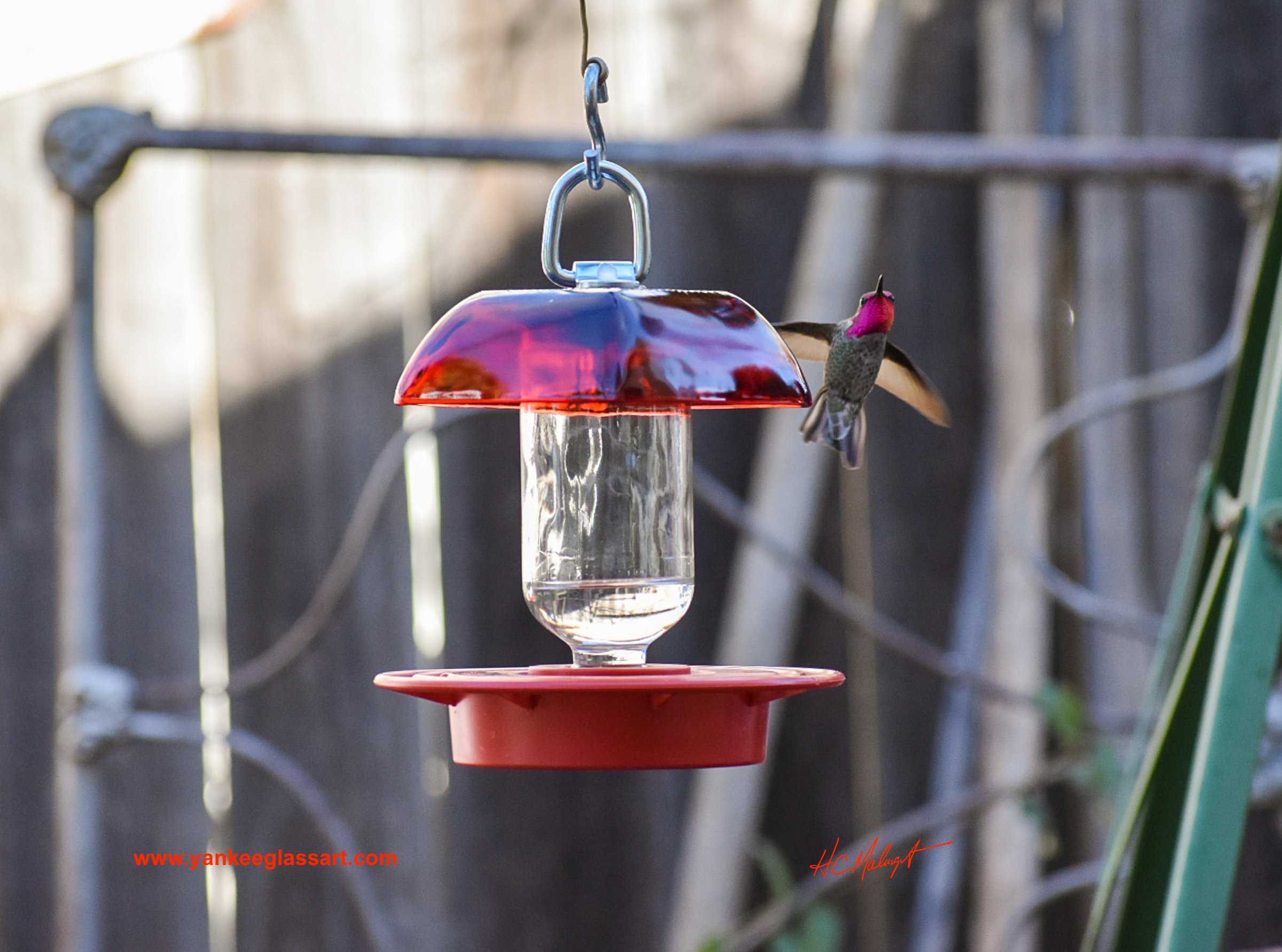A hummingbird doing a flyby to the right of the Ruby Red Anchor Hocking Berry Bowl with clear 8 oz clear reservoir.