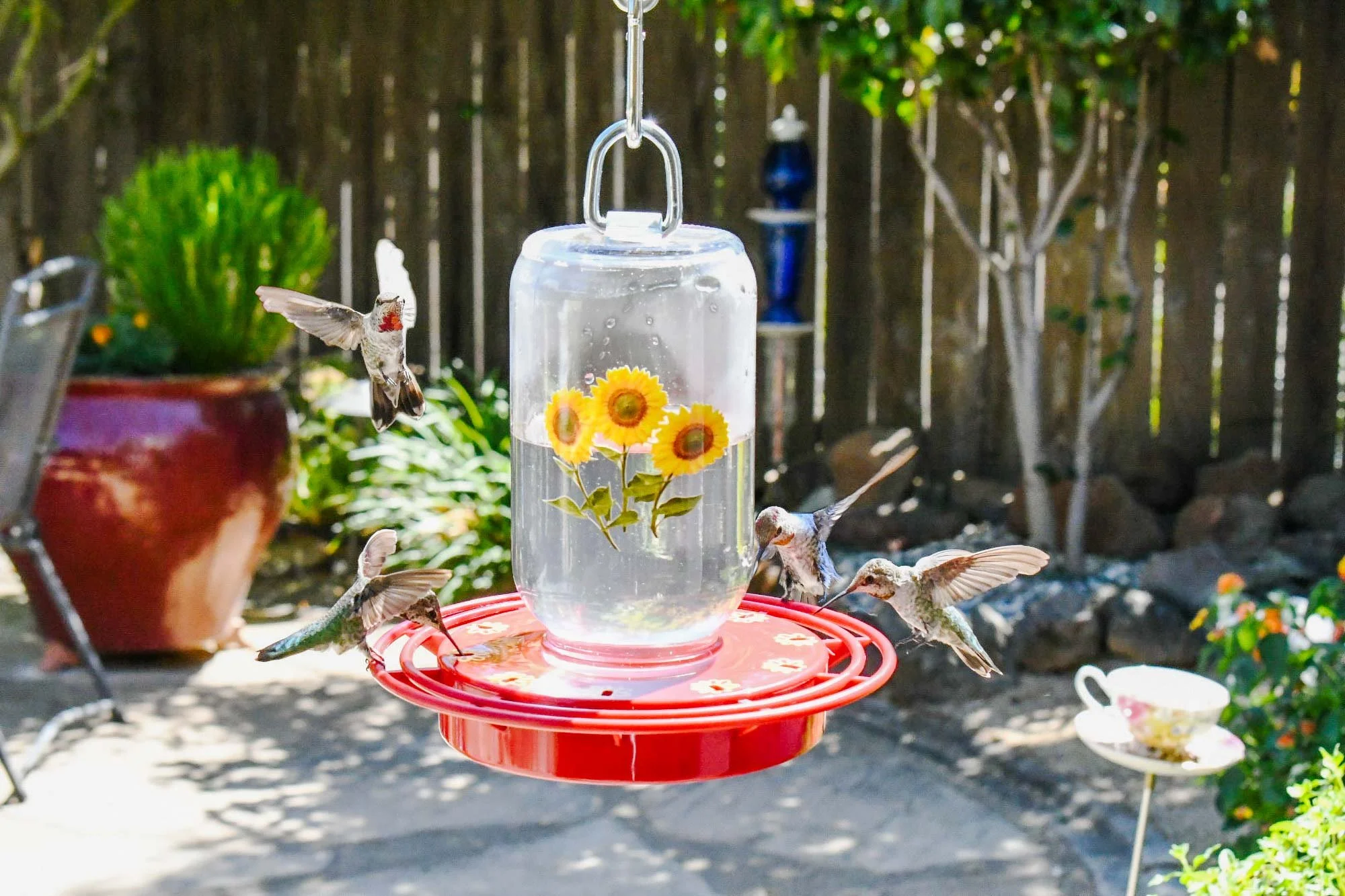 Farmhouse mason jar hanging in yard with Hummingbirds feeding