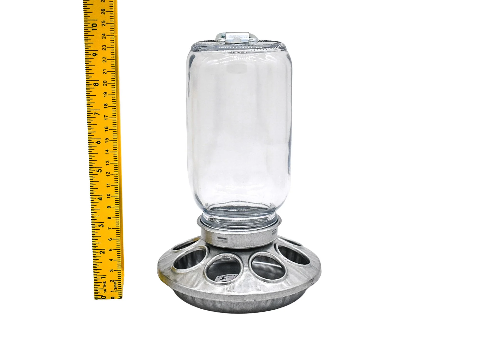 Clear glass 32 oz Mason jar hanging bird feeder with galvanized metal seed base and D-ring hanger