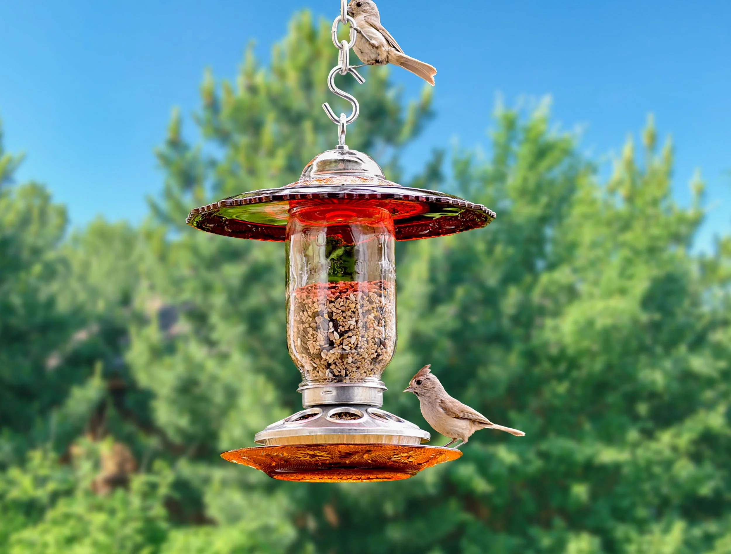 Handmade ruby red vintage glass Mason jar bird feeder hanging outdoors with two birds, featuring Avon Cape Cod red glass and Indiana Tiara amber glass.