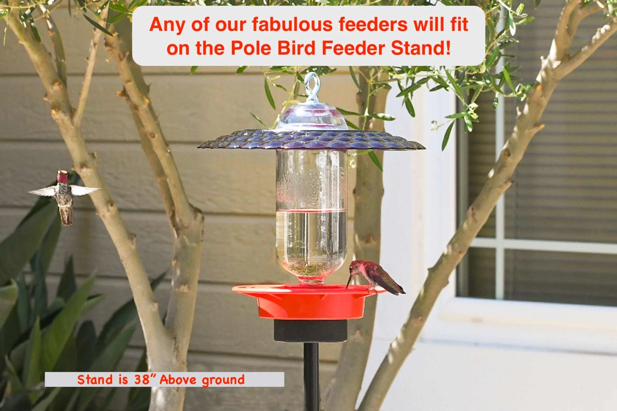 Photo of other types of Bird Feeders that will fit the Pole Feeders.