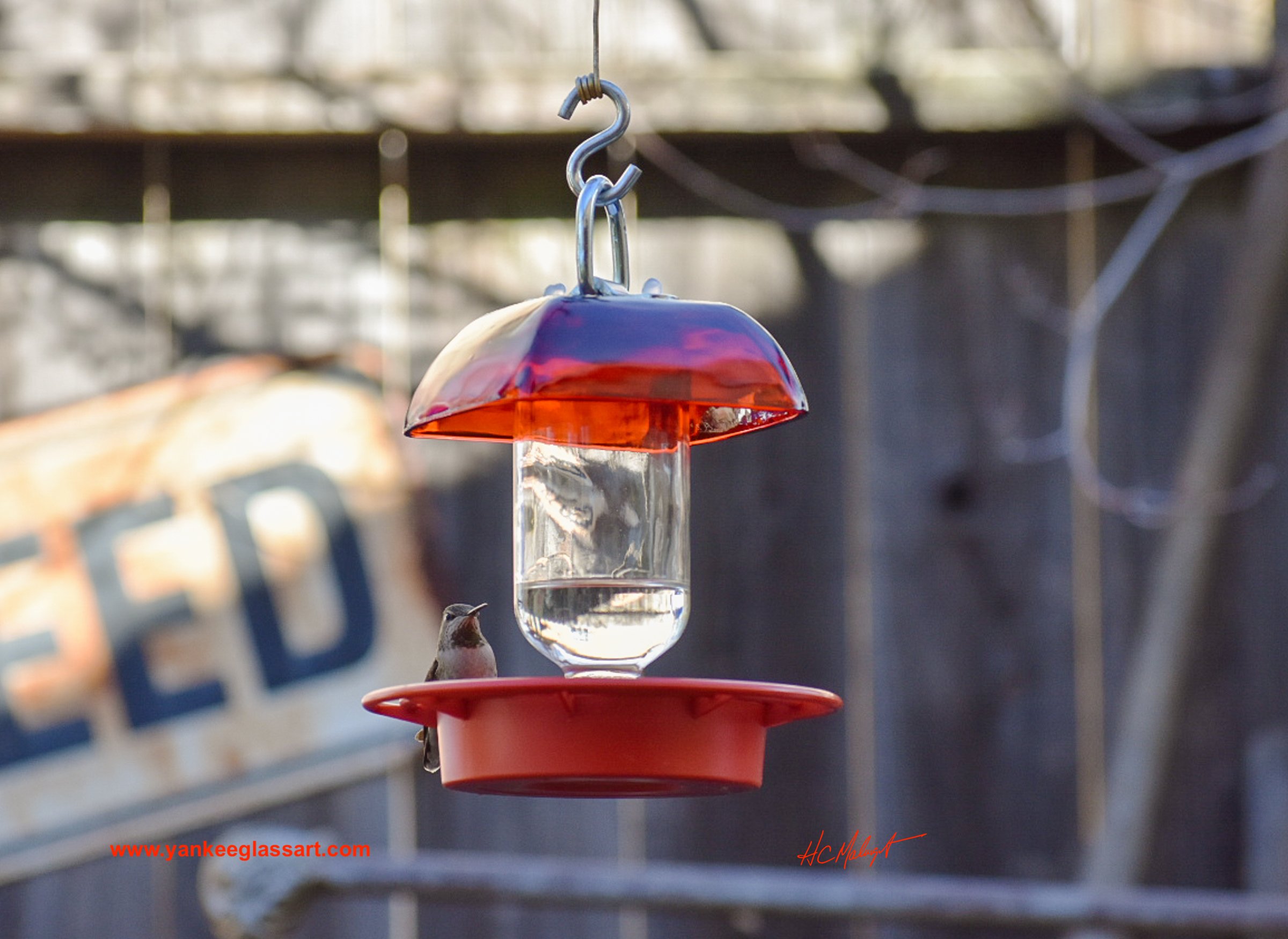 A hummingbird sits and feeds to the left of a Anchor Hocking Ruby Red Berry Bowl glass with 8oz glass reservoir and red Best 1 plastic hummingbird feeder.