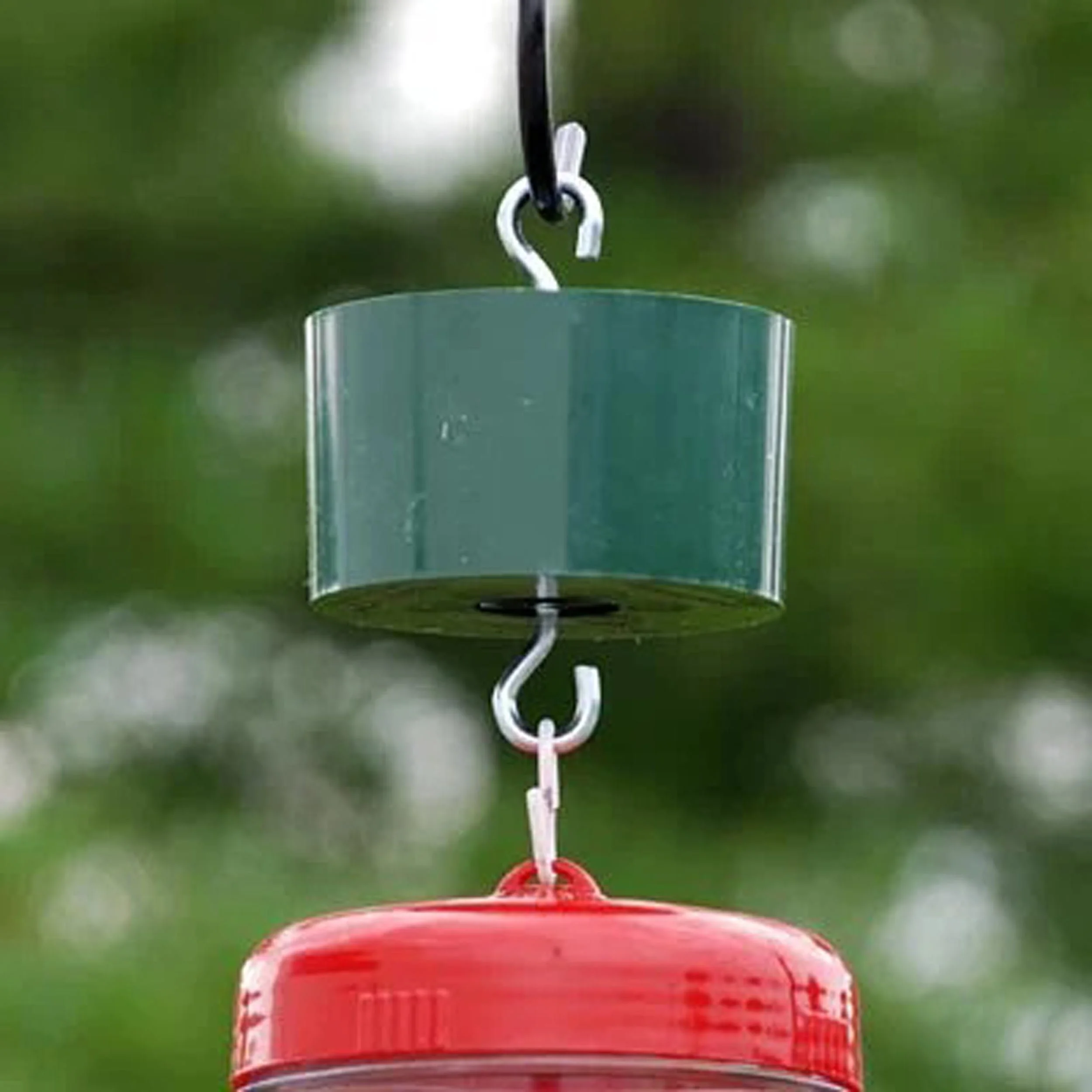 ant trap